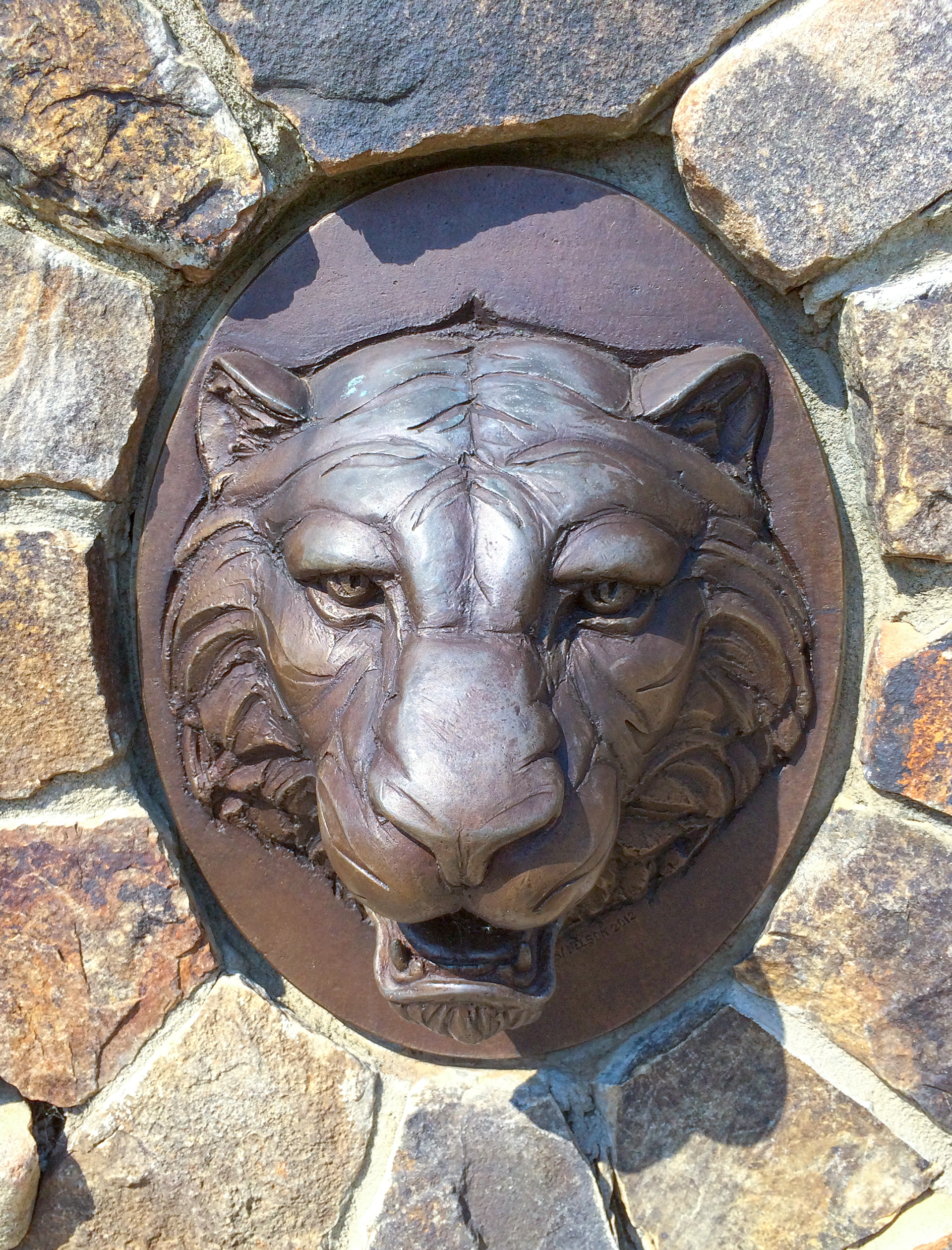 Clemson University Tiger Relief Photo