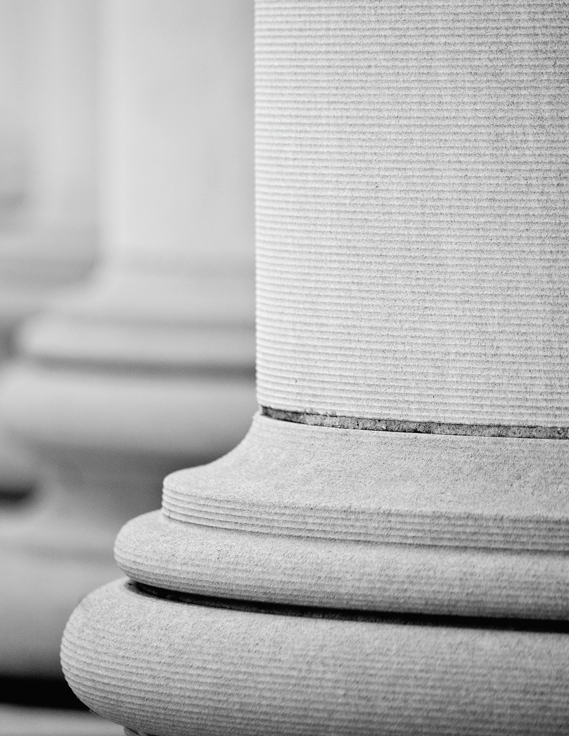Clemson University Sikes Hall Columns Photo