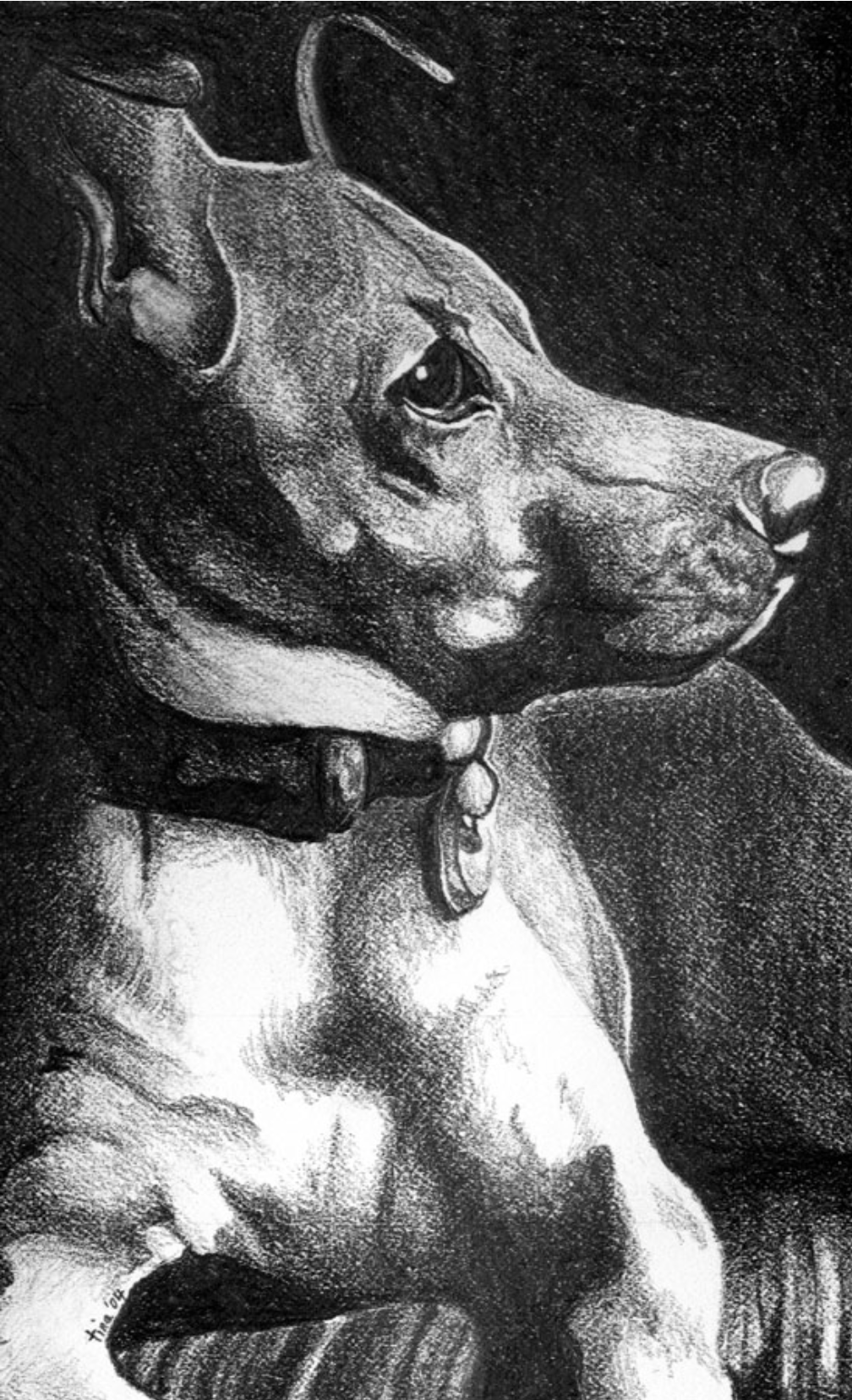 Dog Charcoal Drawing