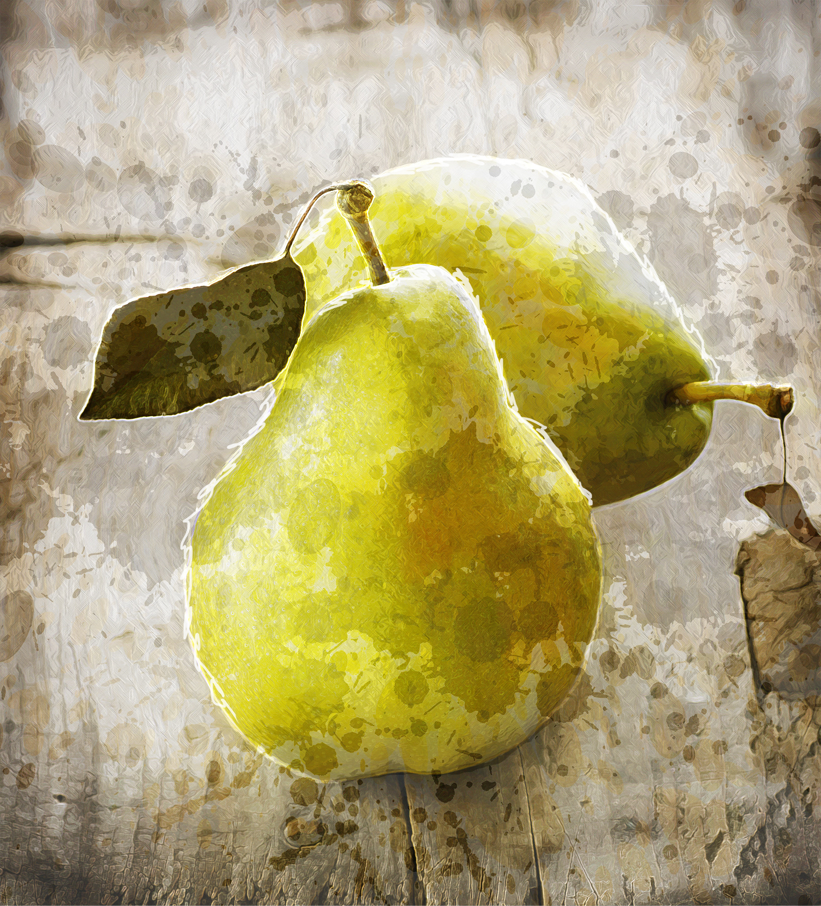 Pear Illustration