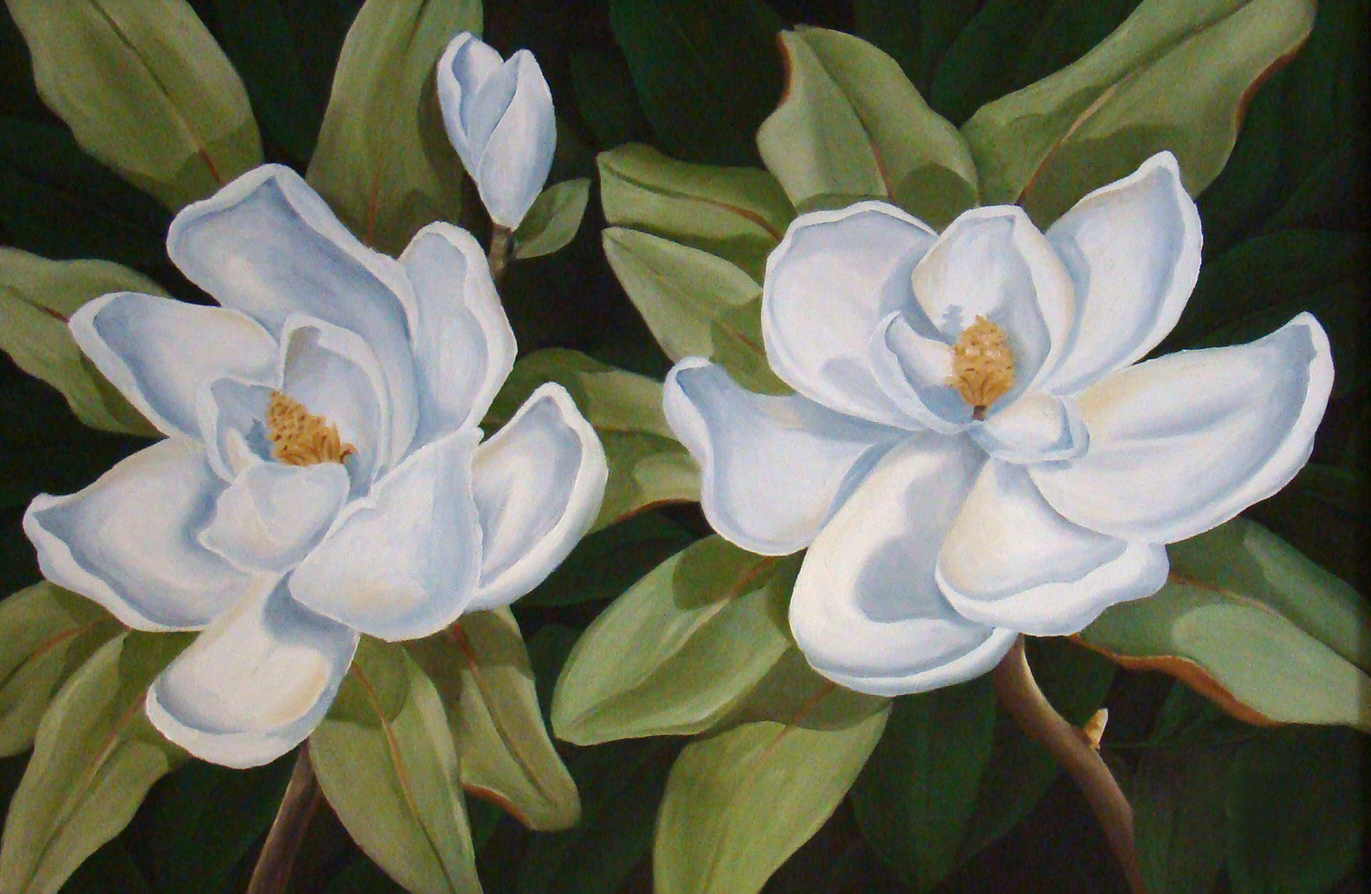 Magnolia Painting
