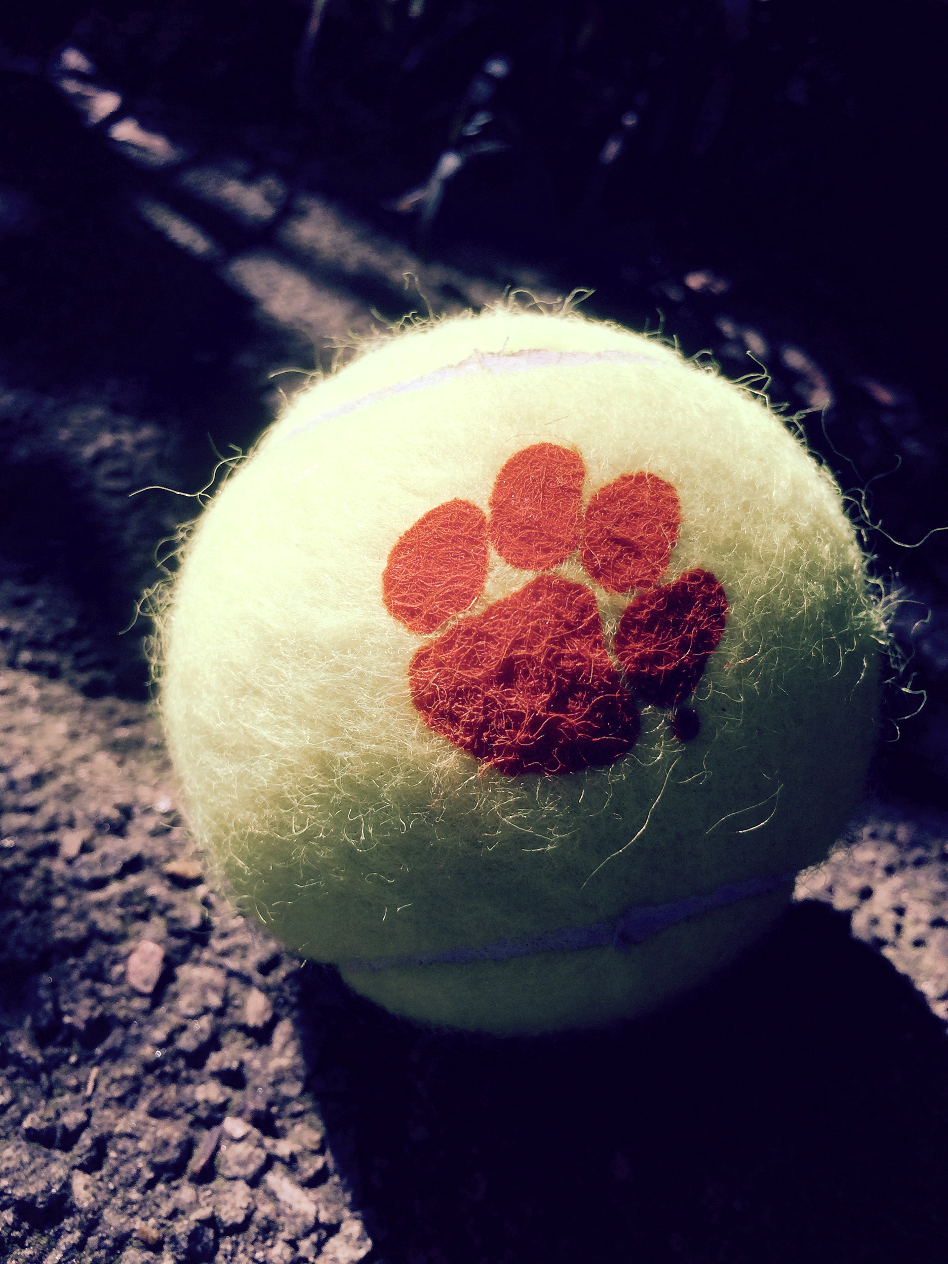 Clemson University Tennis Ball Photo