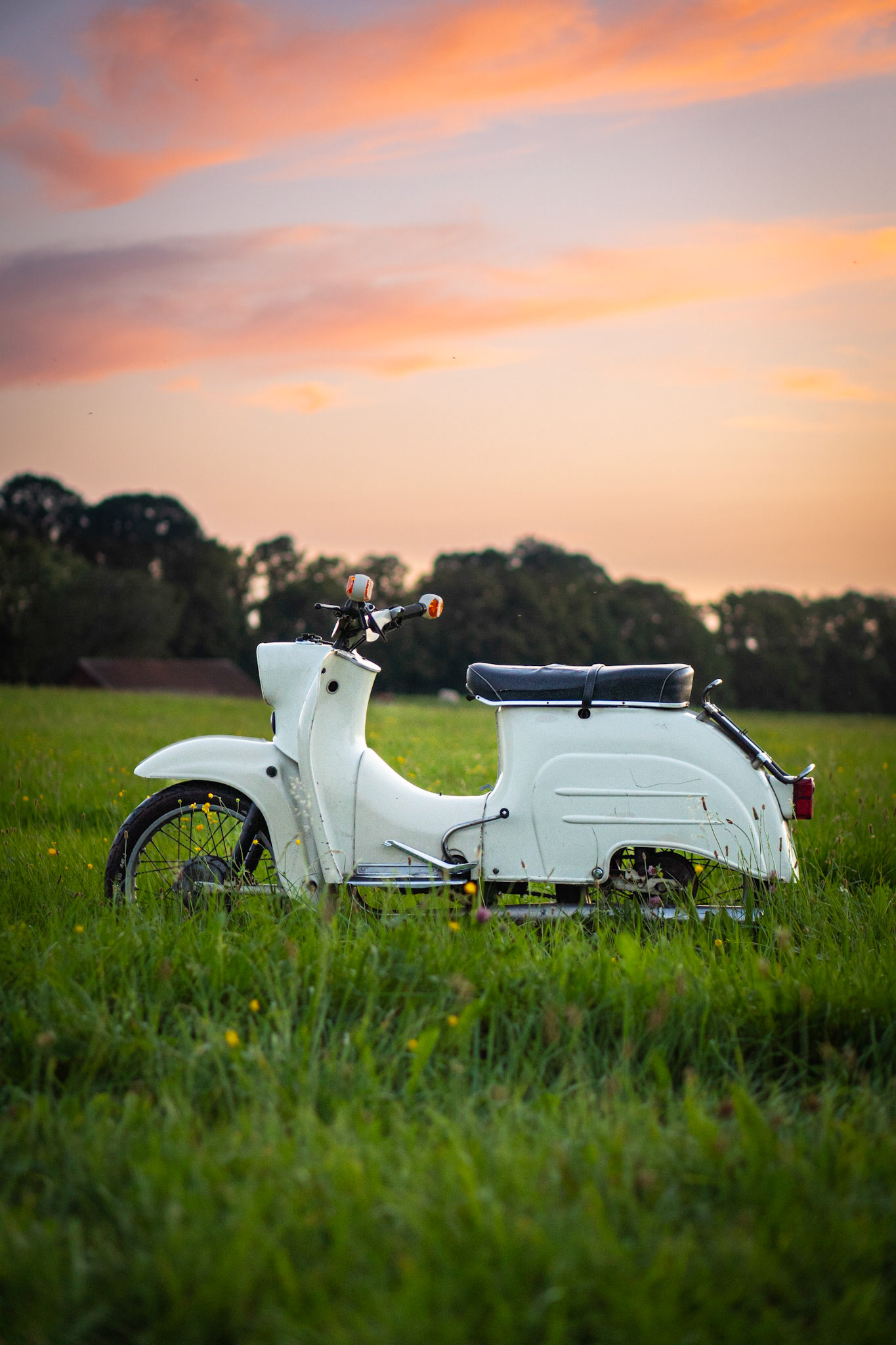 Simson Schwalbe