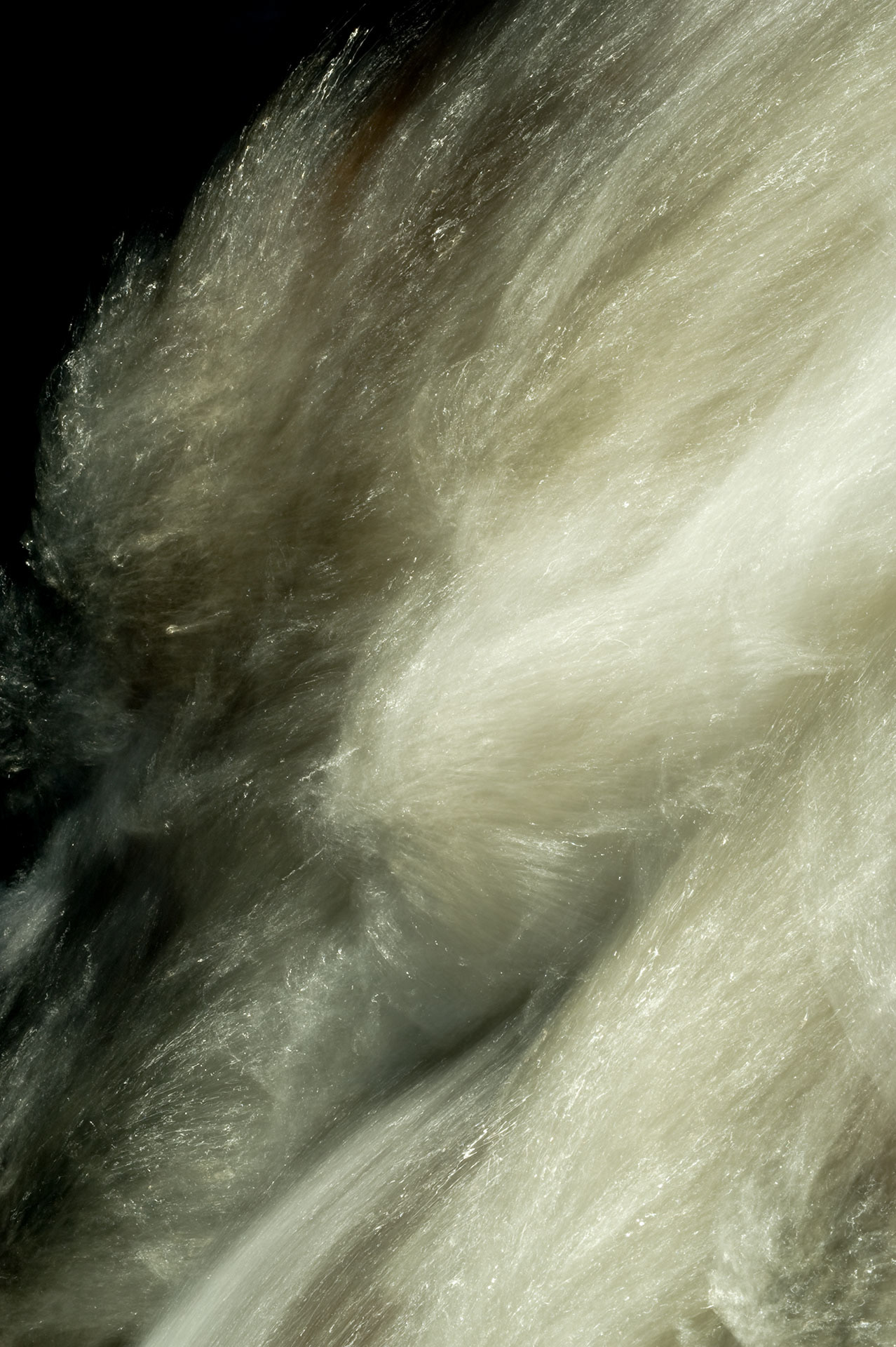 Untitled #24