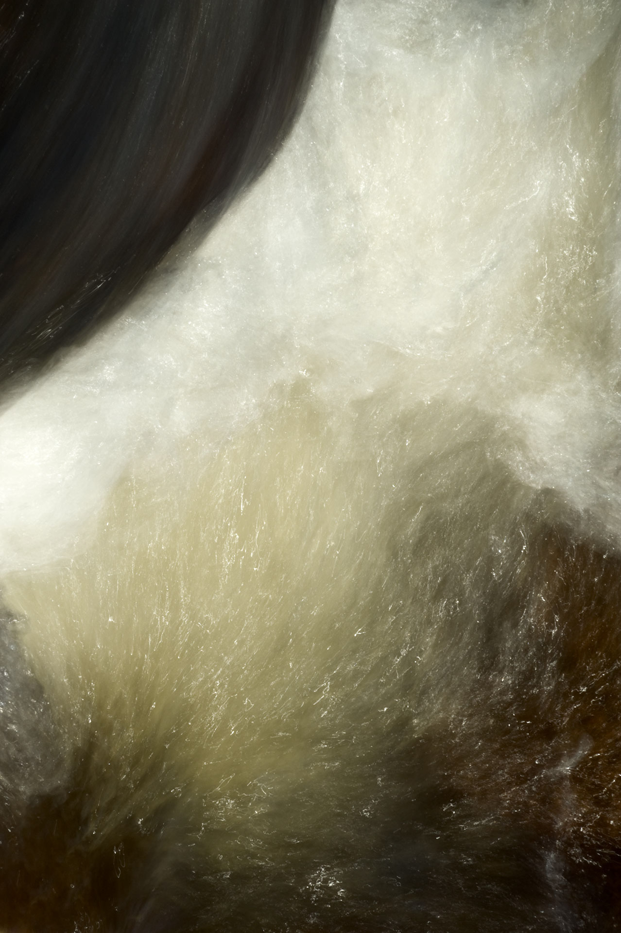 Untitled #19