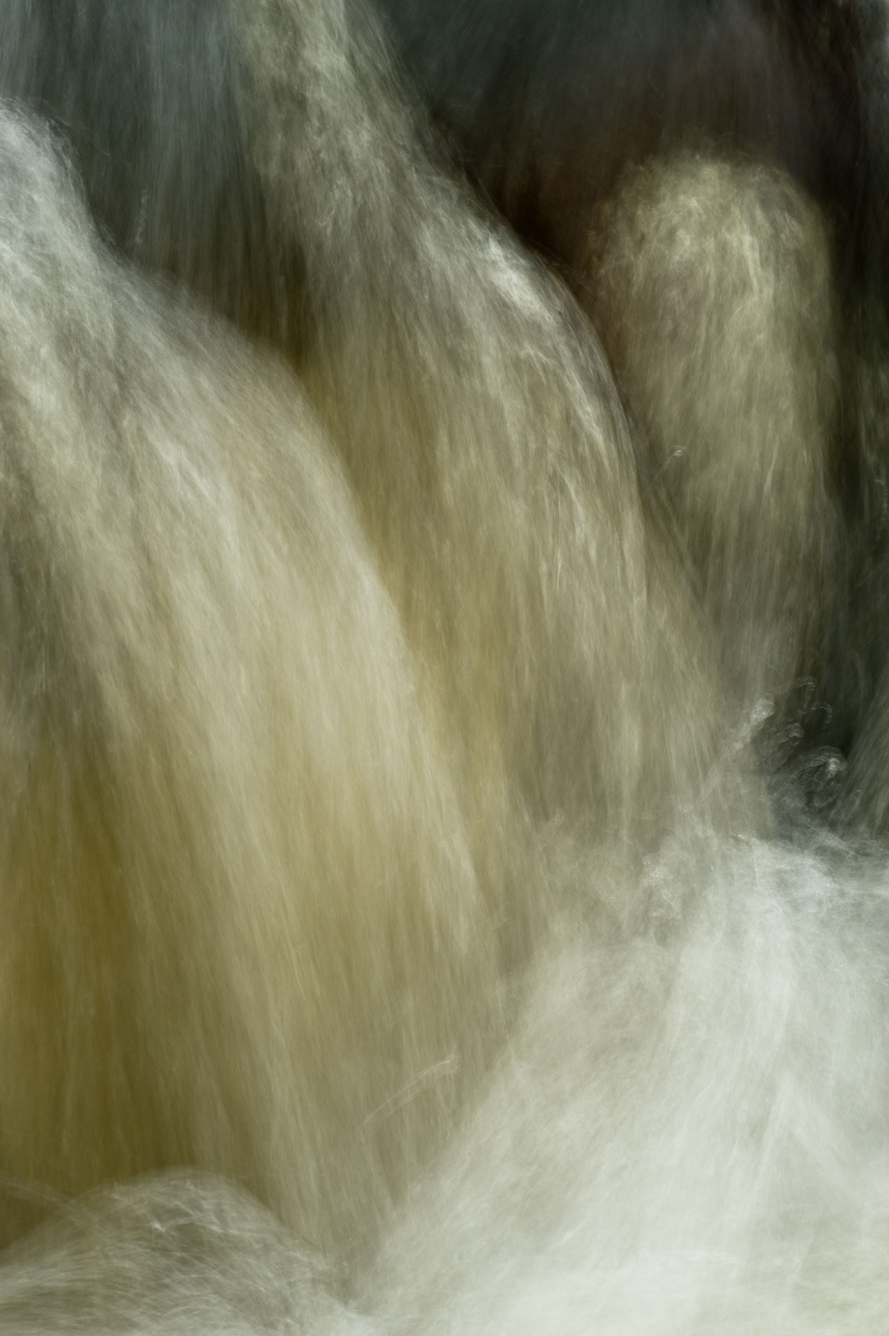 Untitled #12