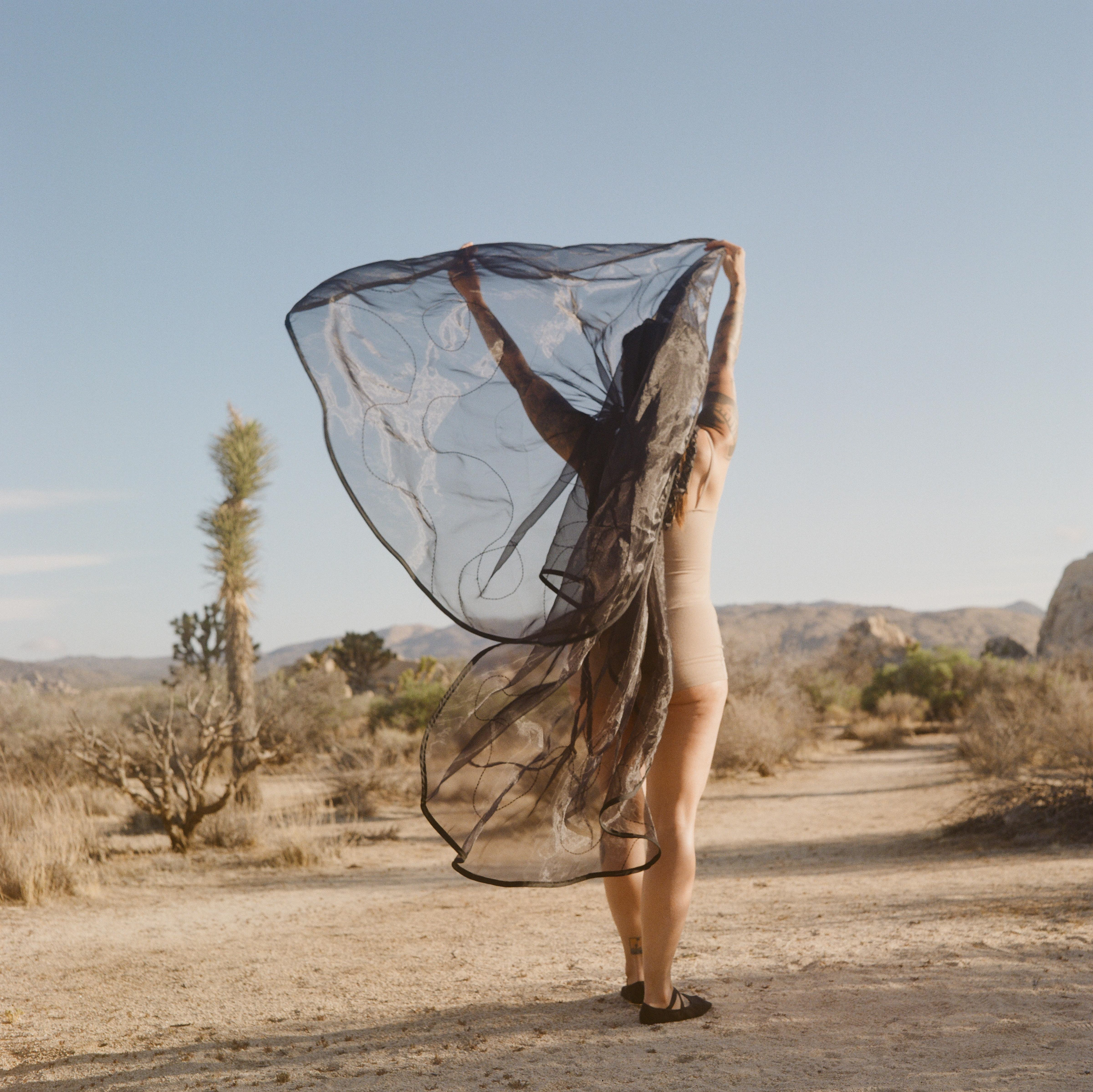 Corinthian Veil, Kodak Gold 200, 120mm, 2025