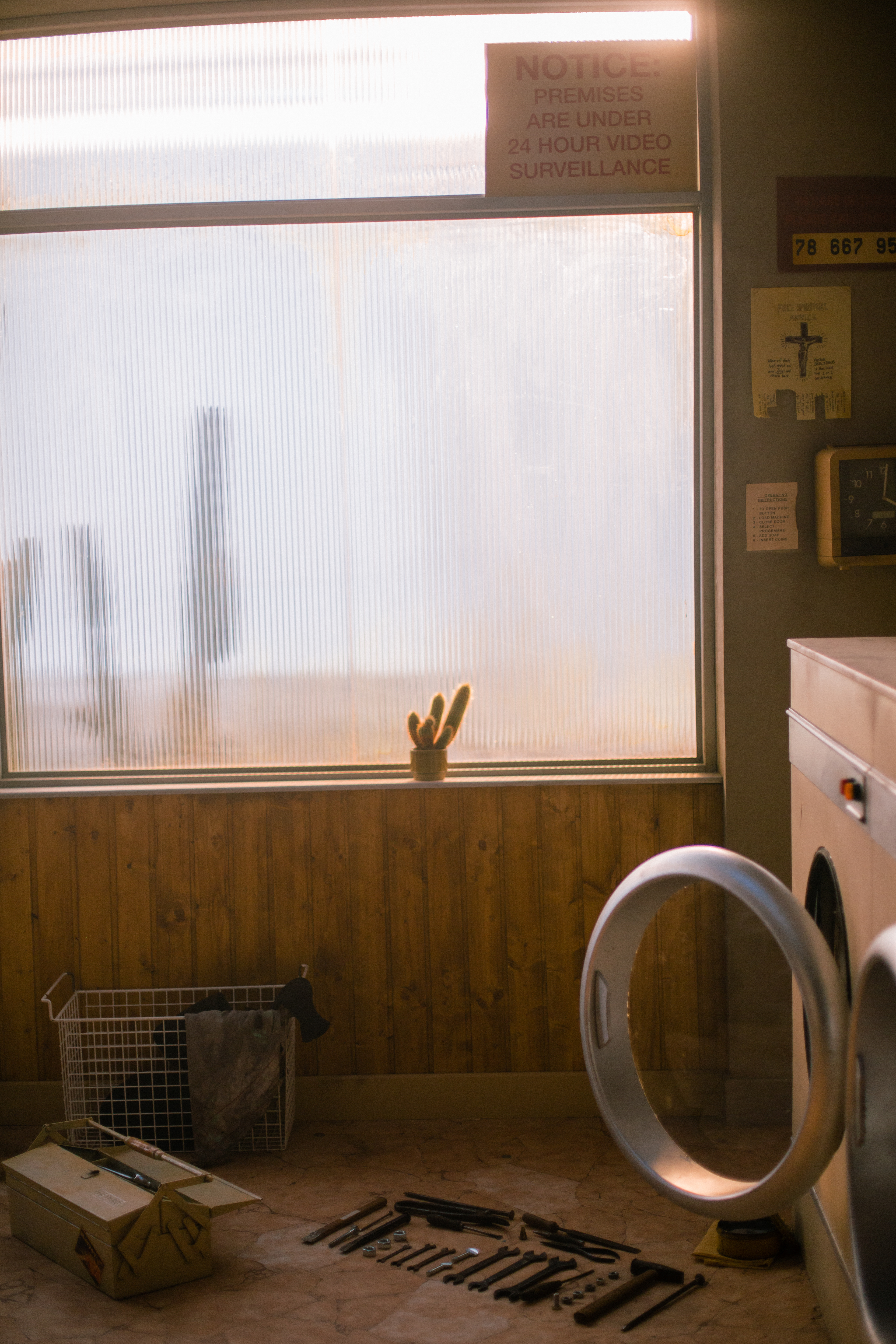Photo by Johanna Berghorn