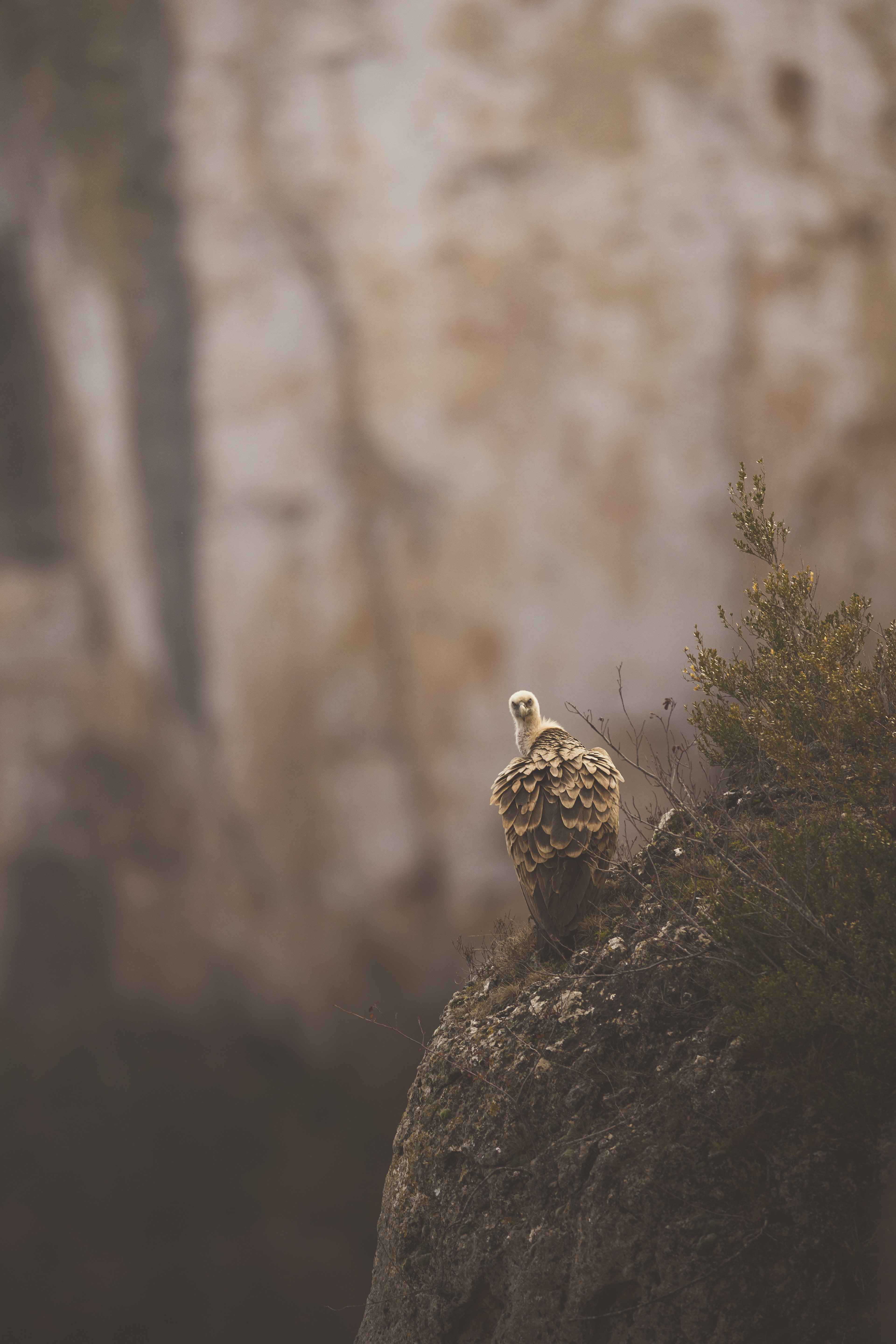 Oups, je suis repéré