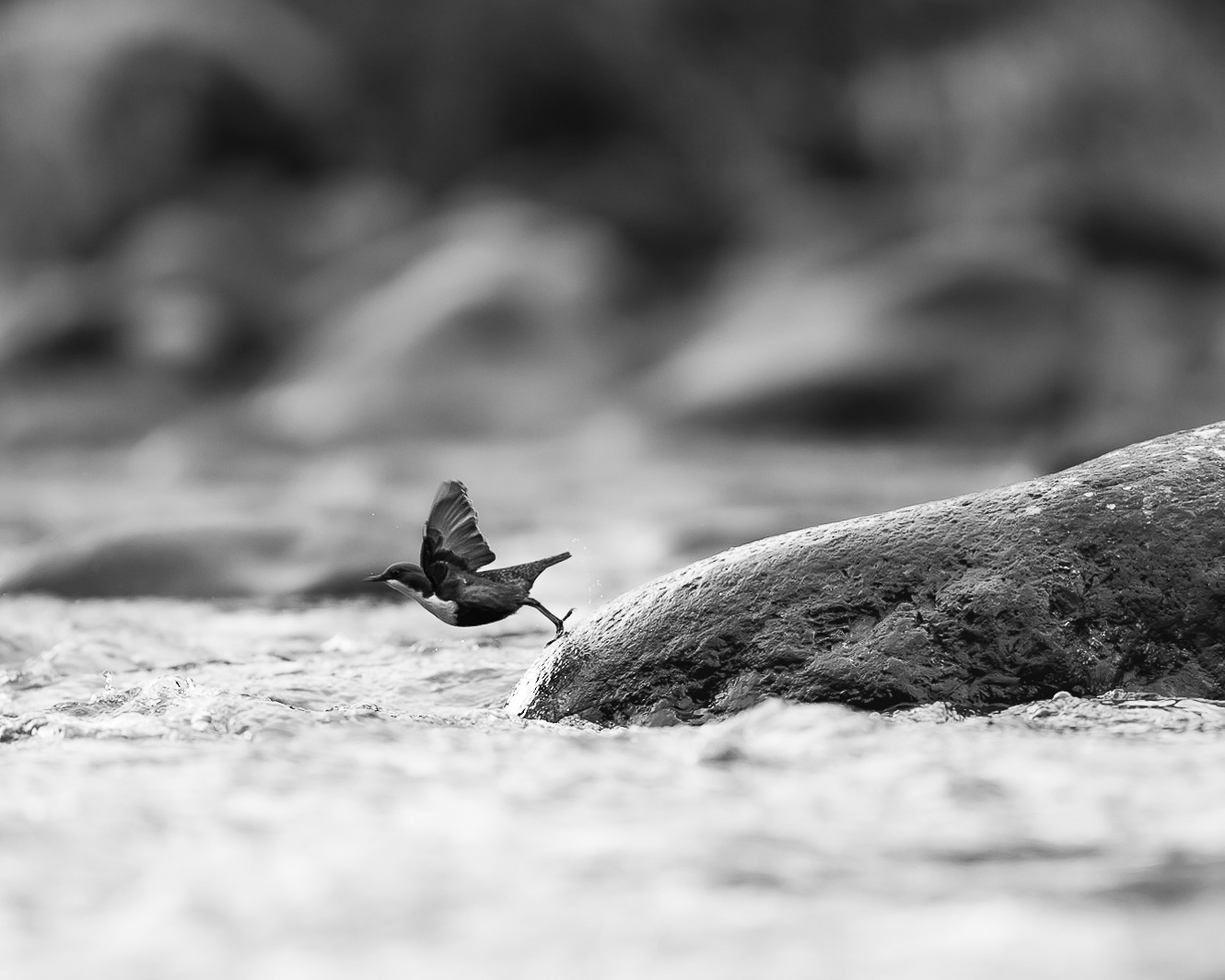 Tout pour les caméras