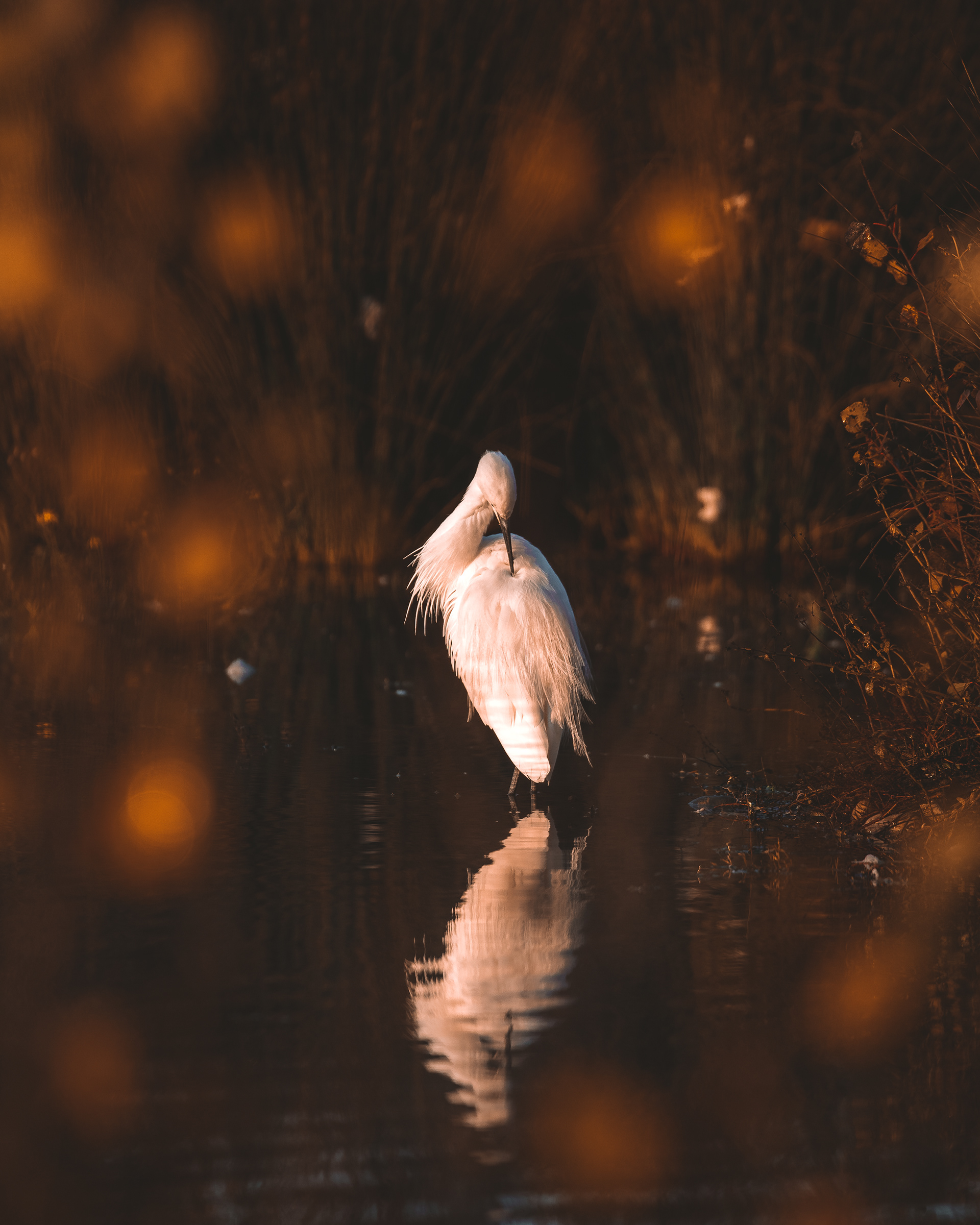 Sous les feux des projecteurs