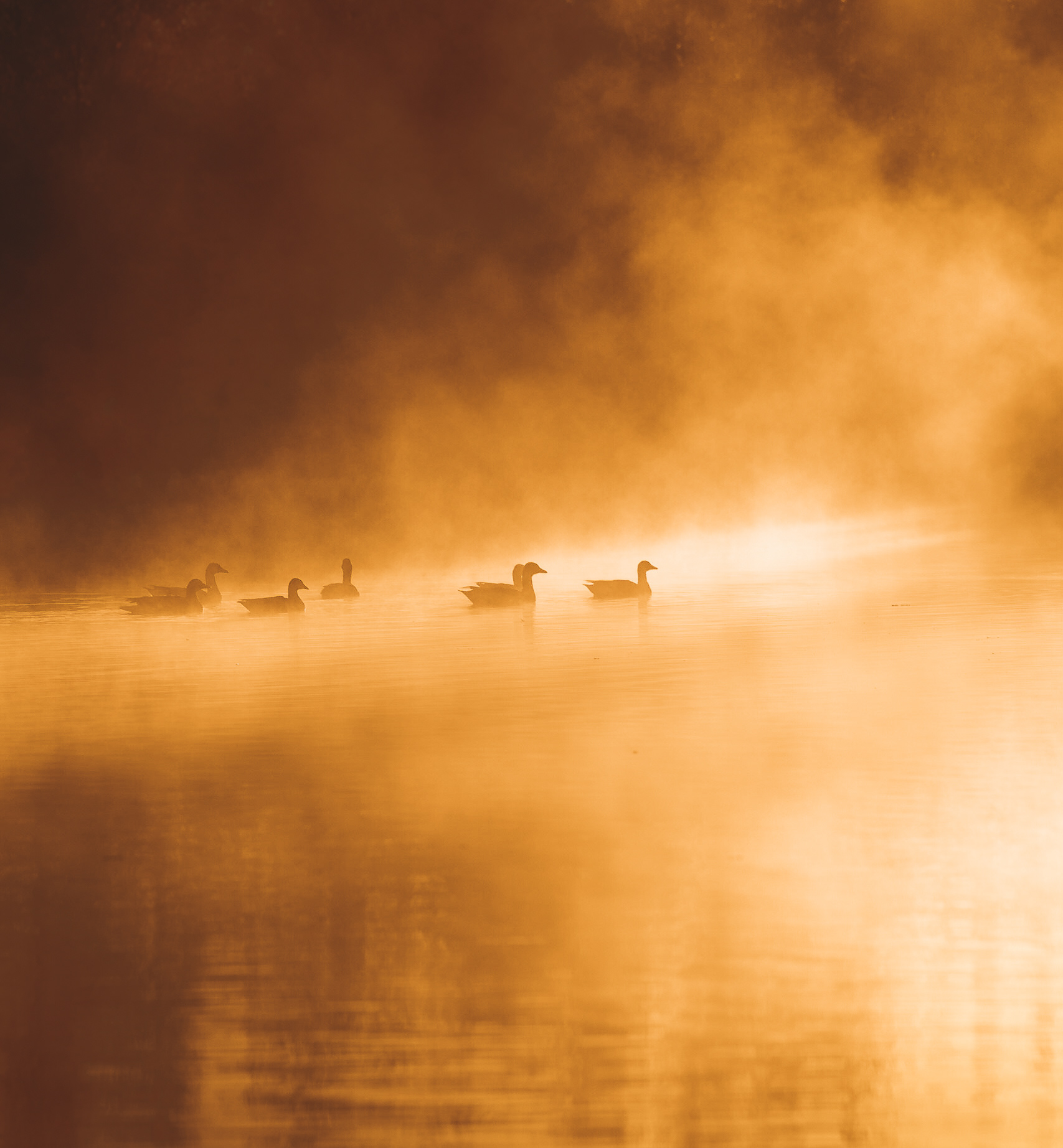 Lever de soleil Ariègeois