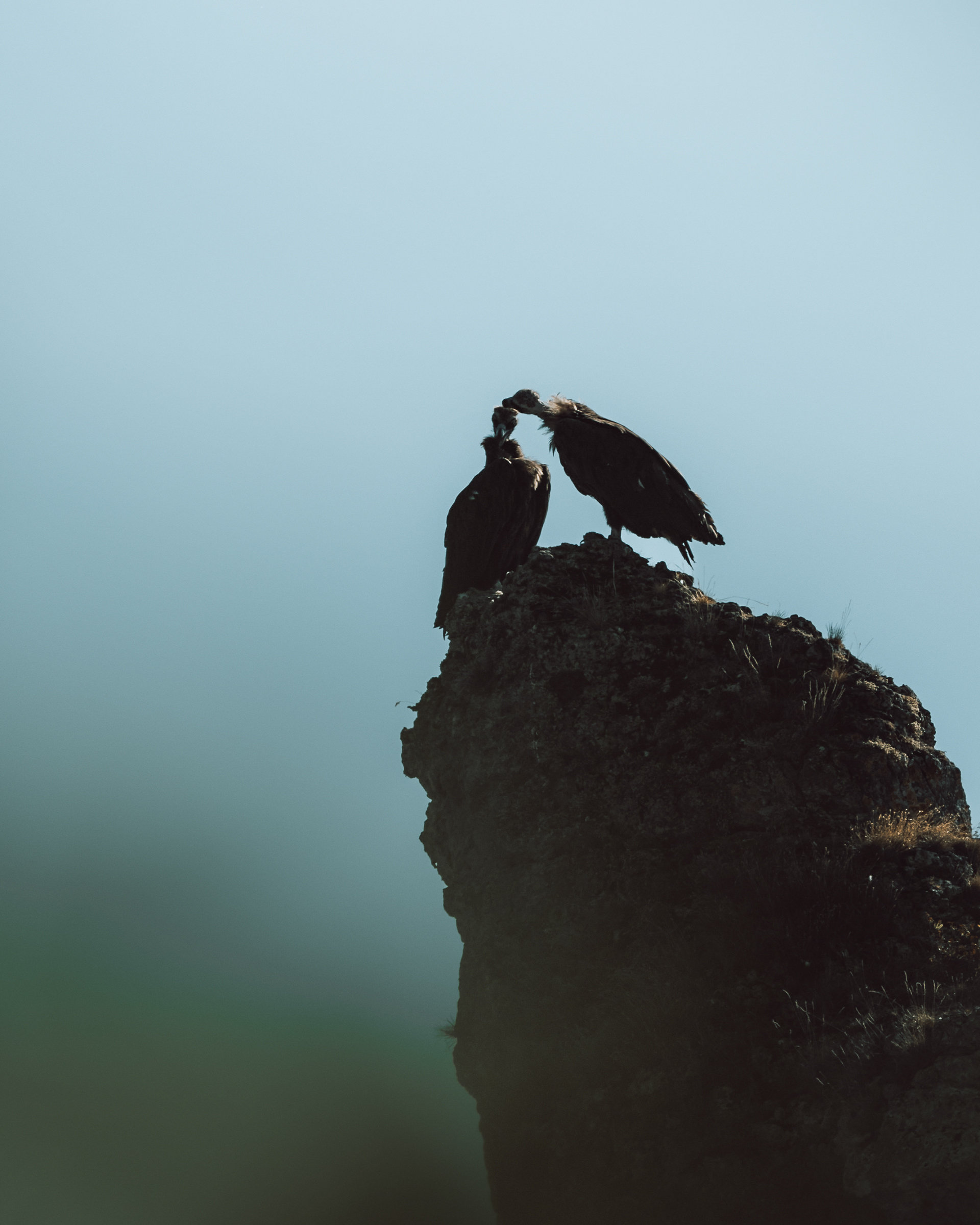 Vie de couple chez les Moines