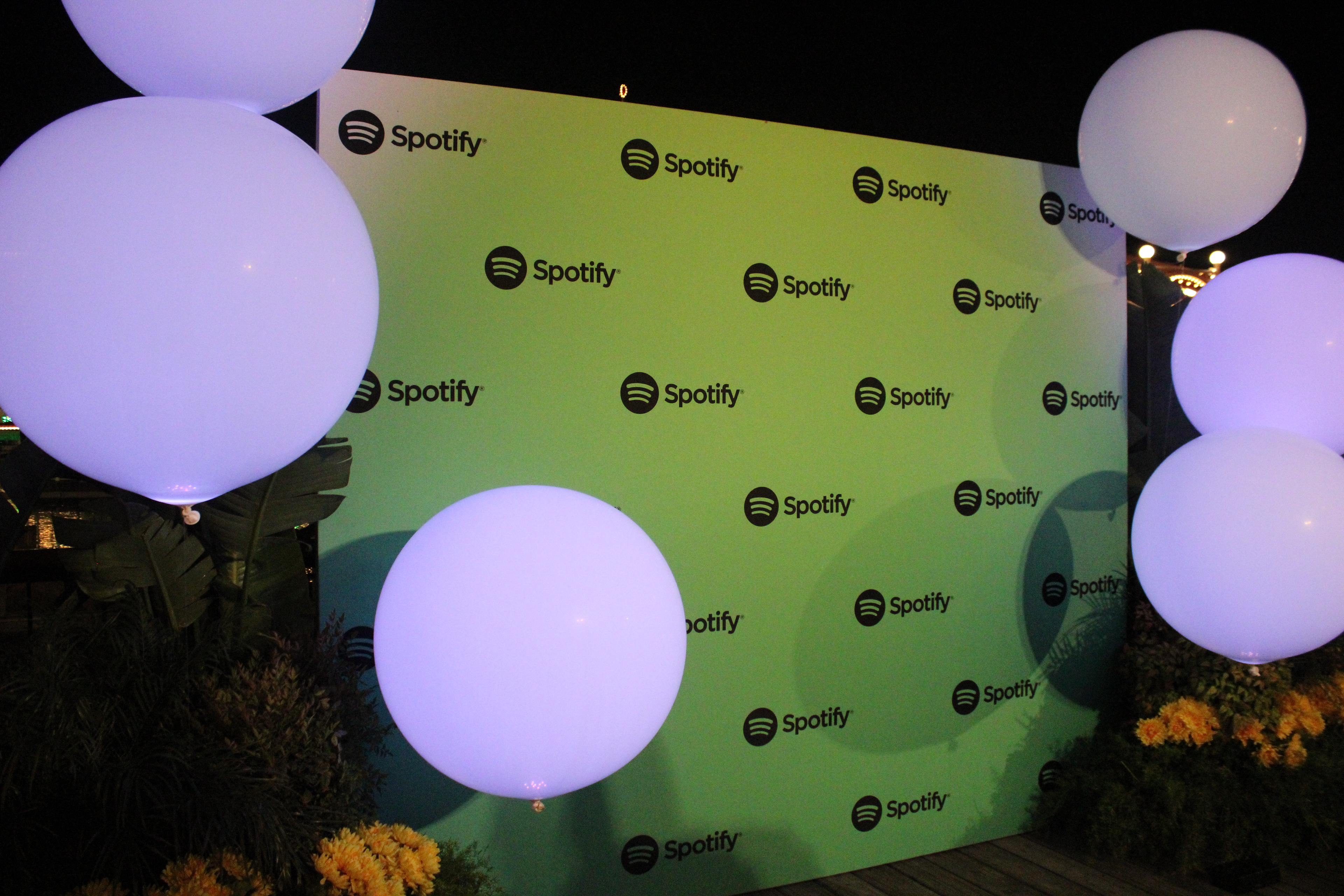 DISNEYLAND AFTERPARTY