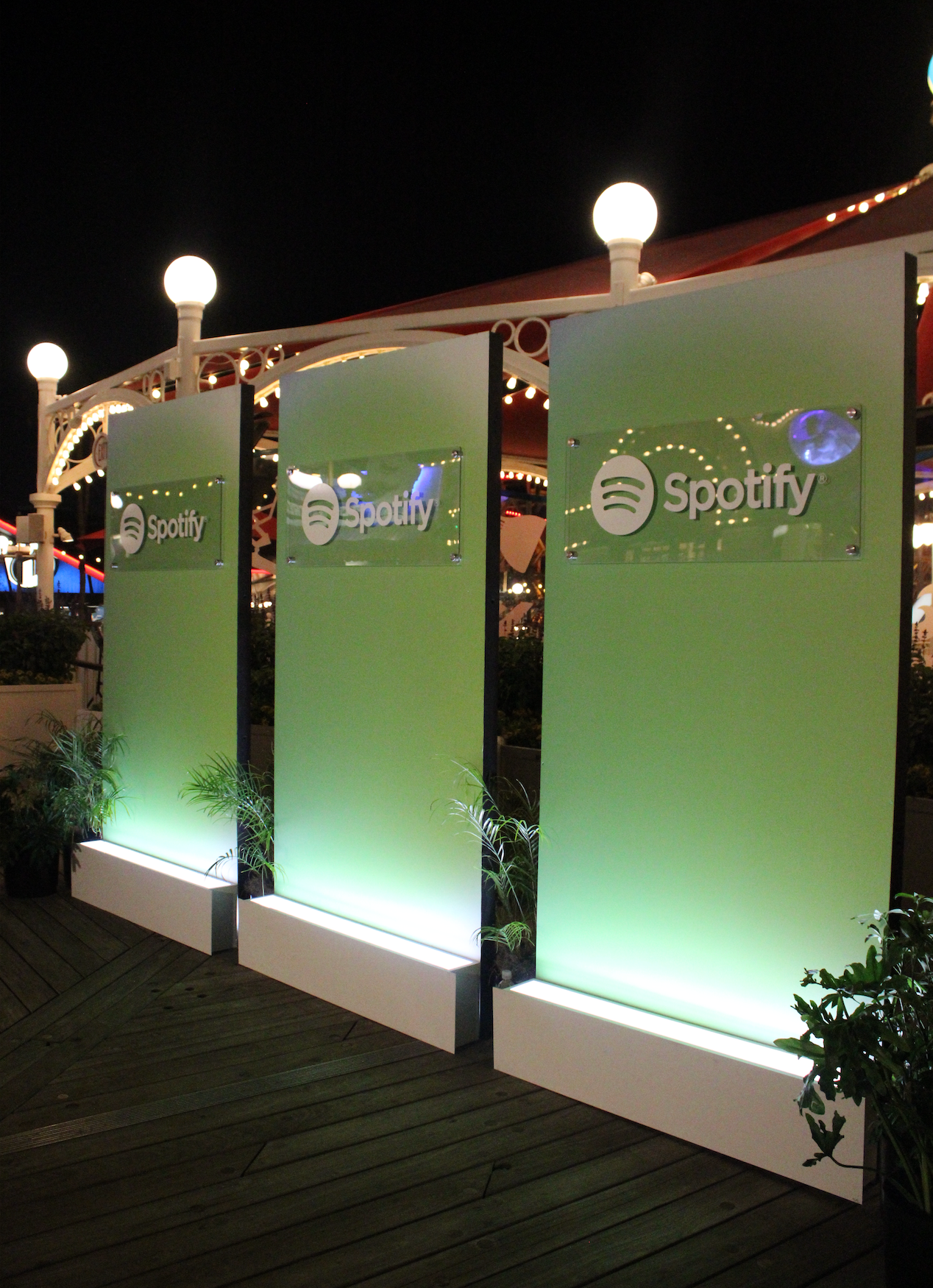 DISNEYLAND AFTERPARTY