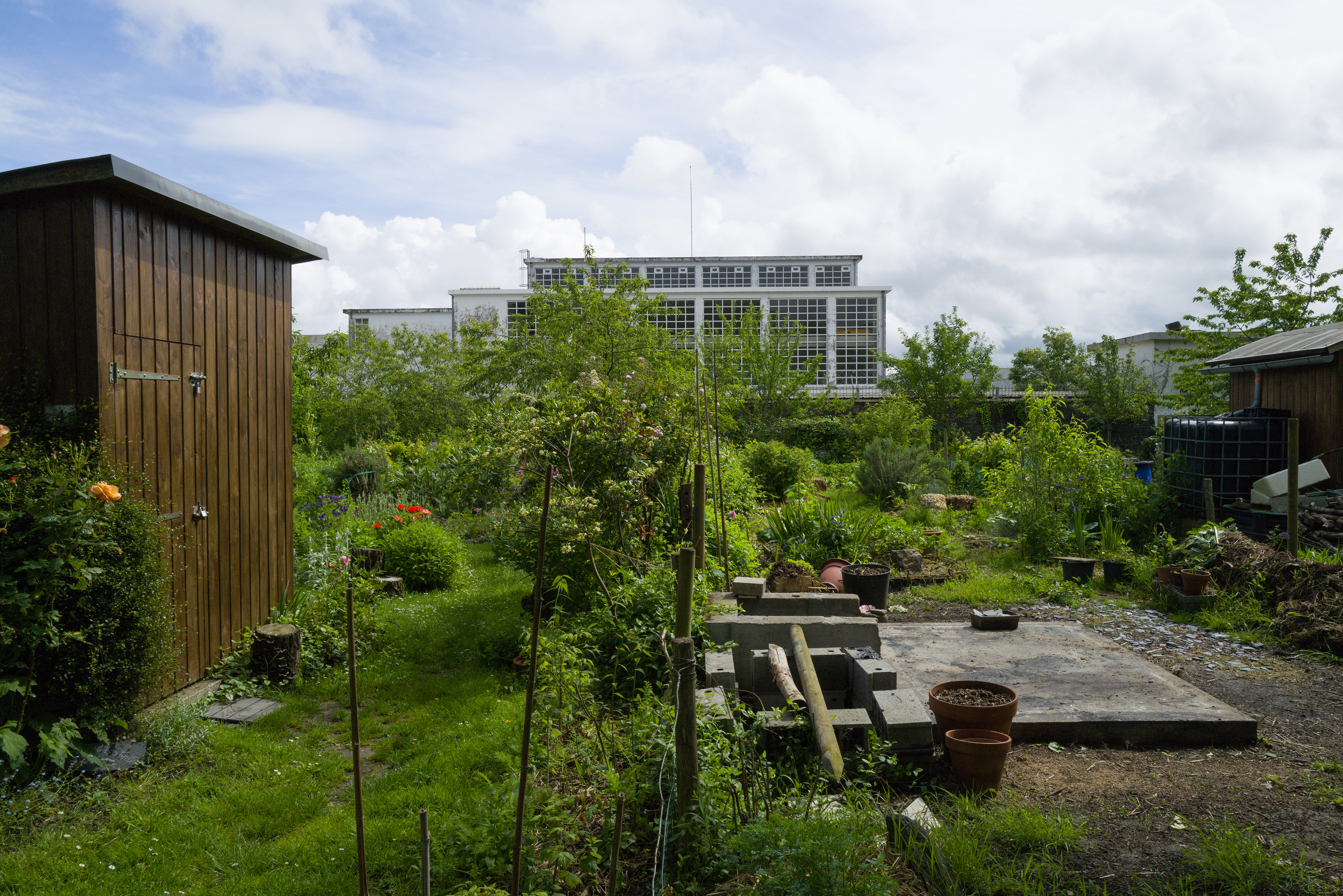 Jardin ouvrier avec une cloture alignée en plein centre, des cabanes de jardin à droite et à gauche, en fond la centrale de traitement d'eau de Nantes.