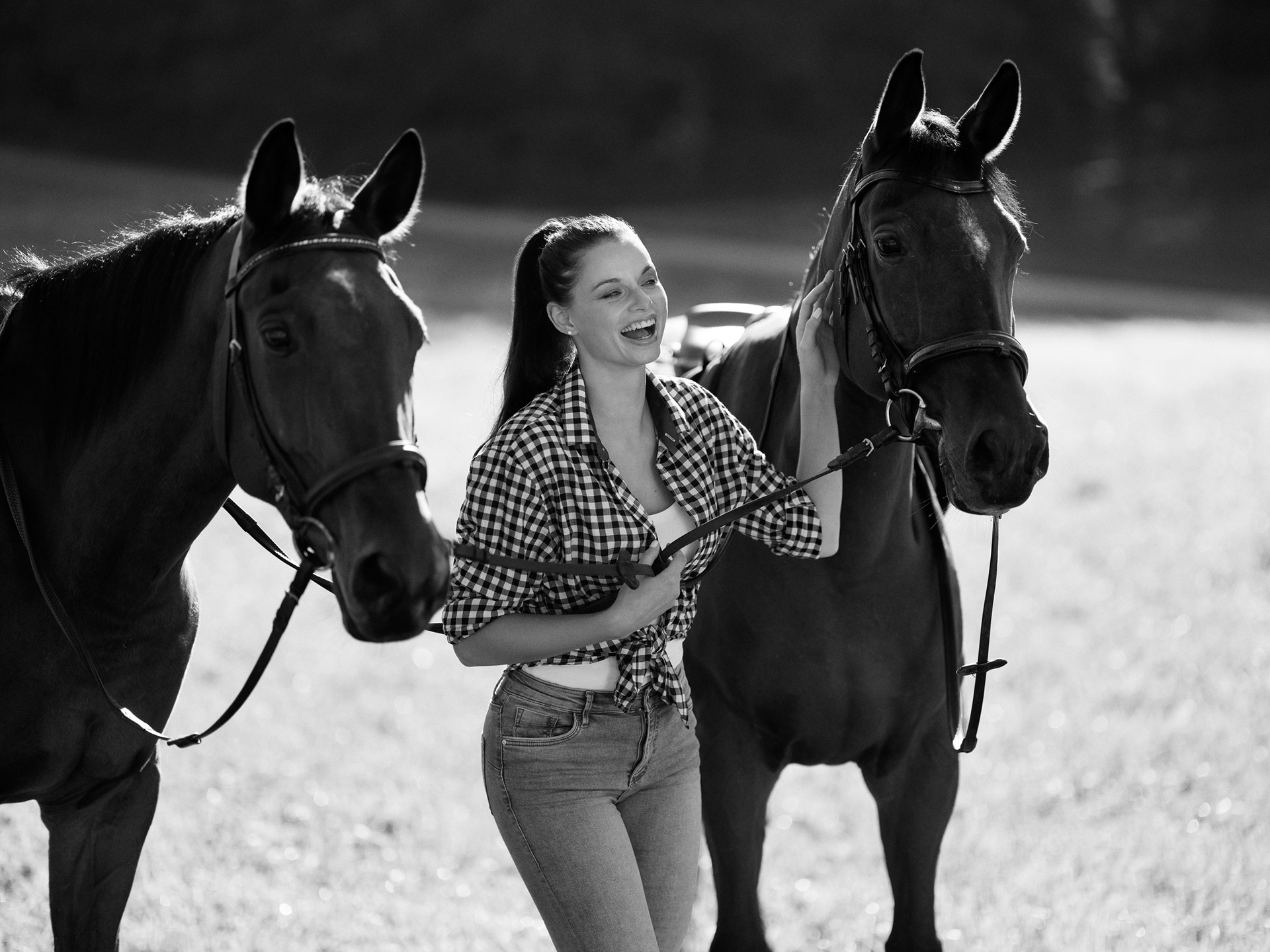 Stables at  Rogaska, Slovenia