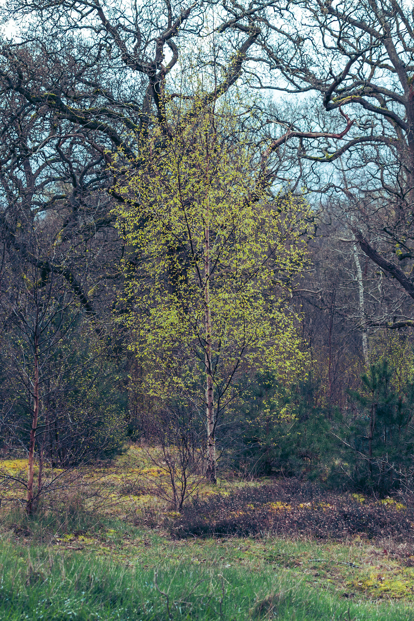 Spring is on the way