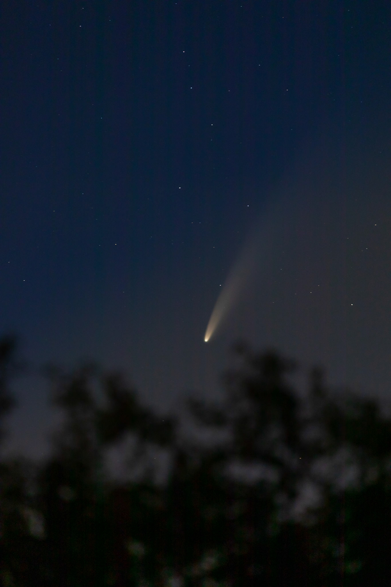 C/2020 F3 (NEOWISE), or Comet NEOWISE, is a retrograde comet with a near-parabolic orbit discovered on March 27, 2020, by the NEOWISE space telescope.