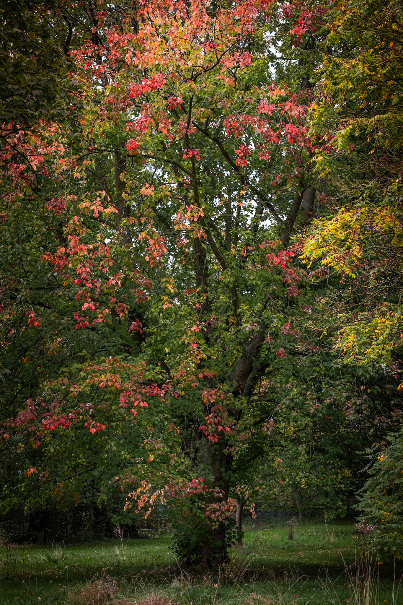 Dressing up for Autumn