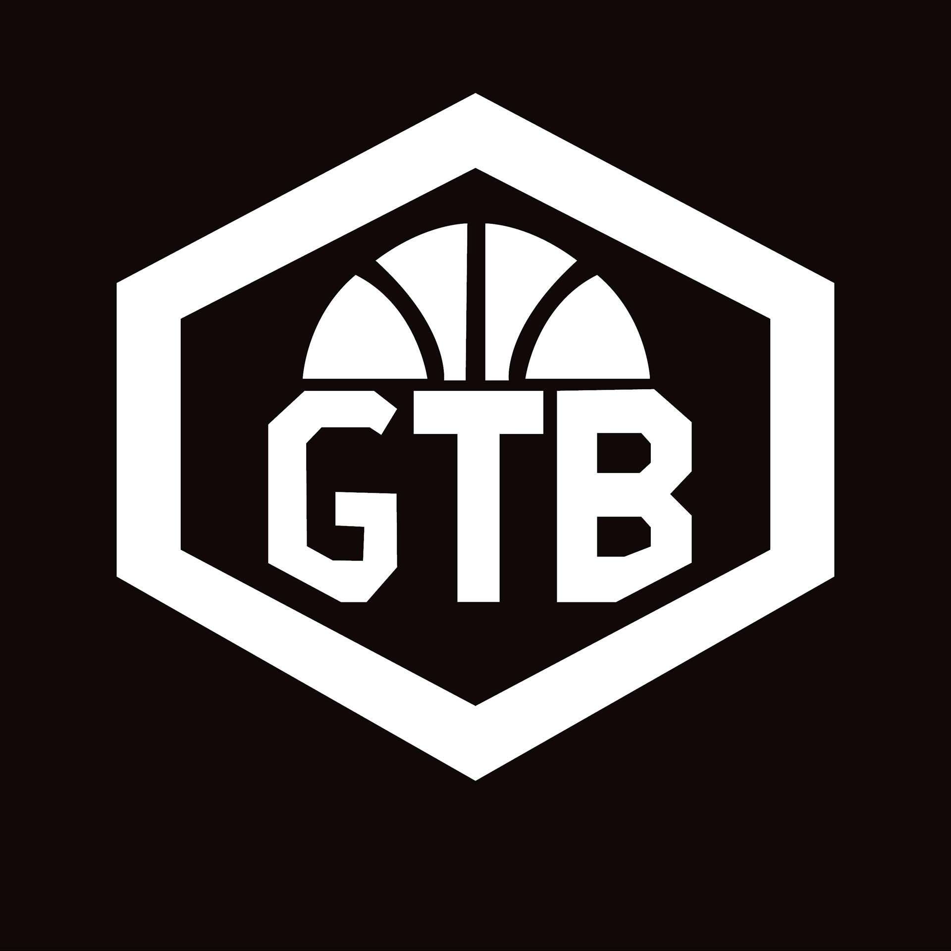AAU Basketball Logo
