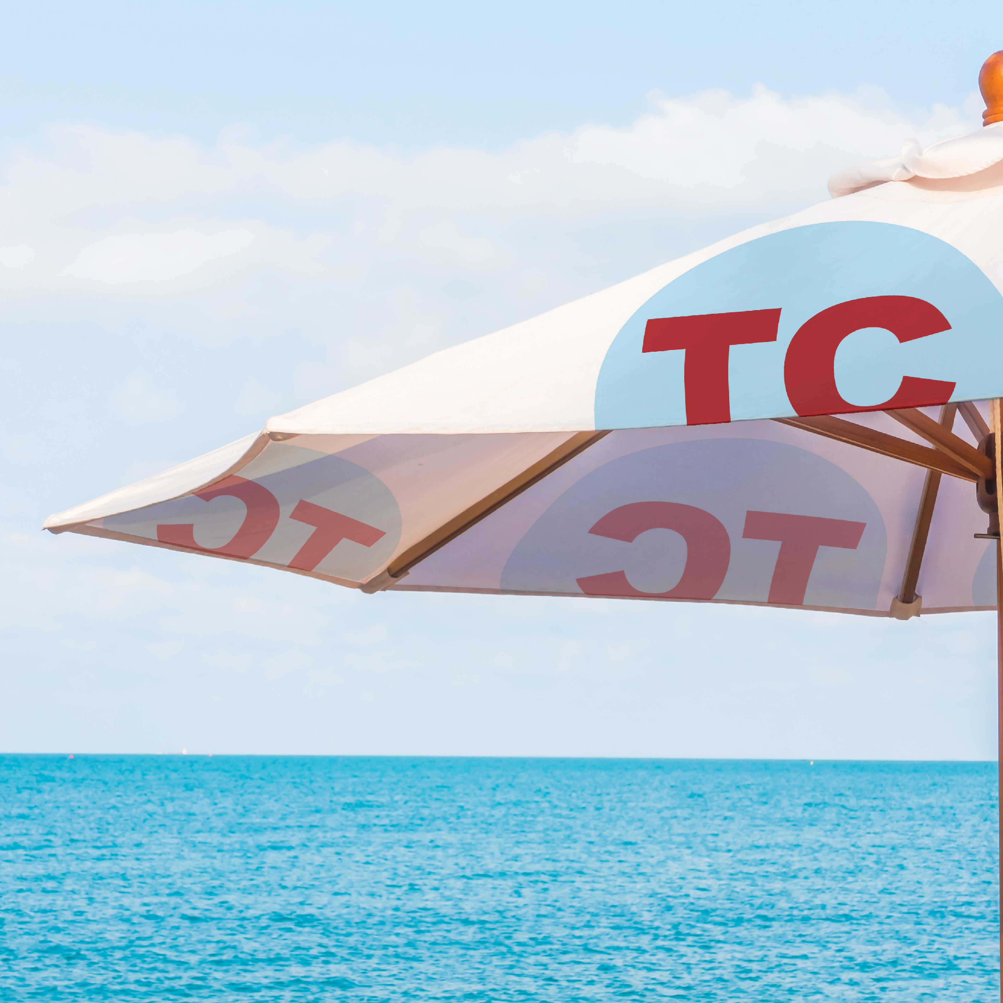 Traverse City Tourism Logo