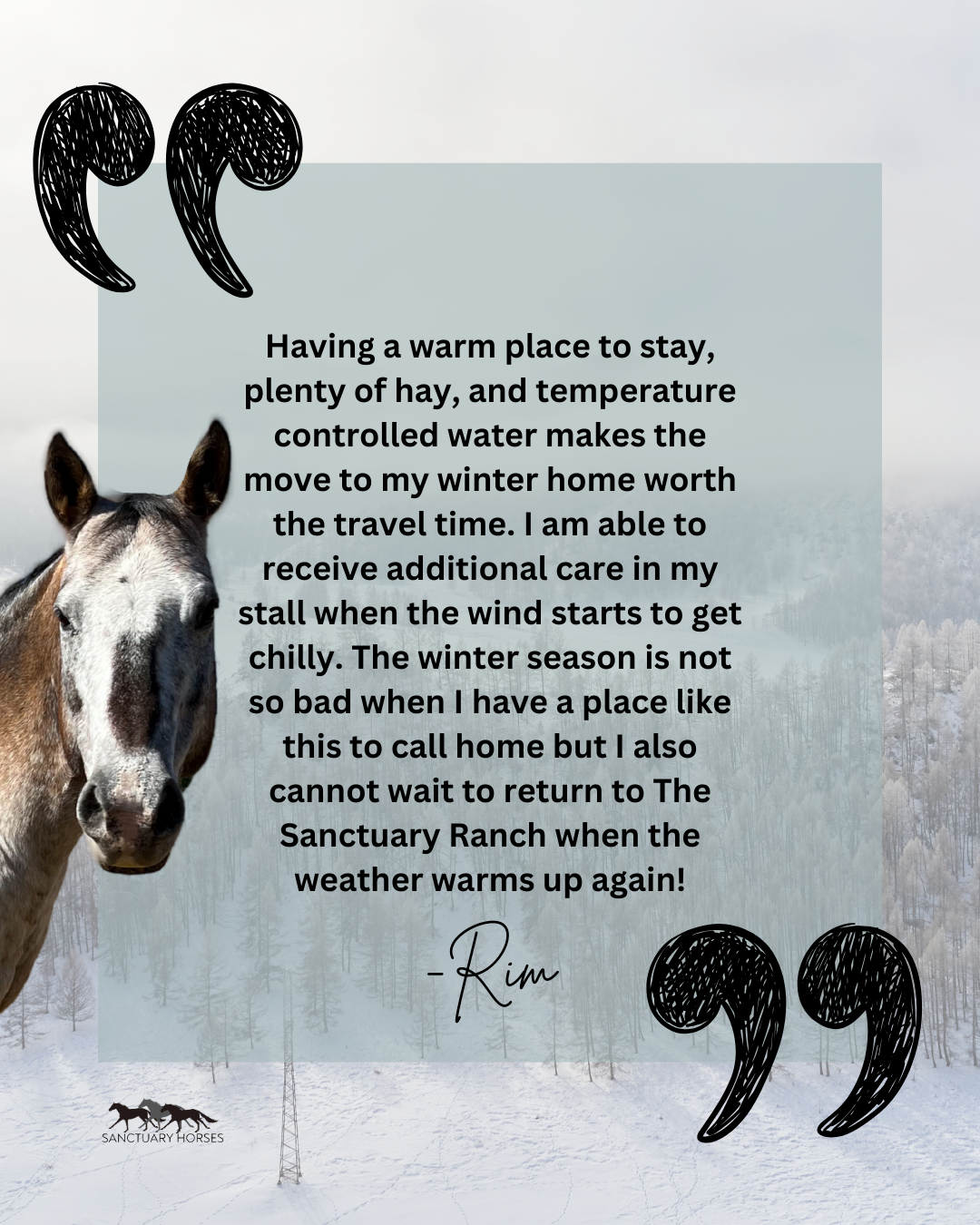 Sanctuary Horses Social Media Graphic