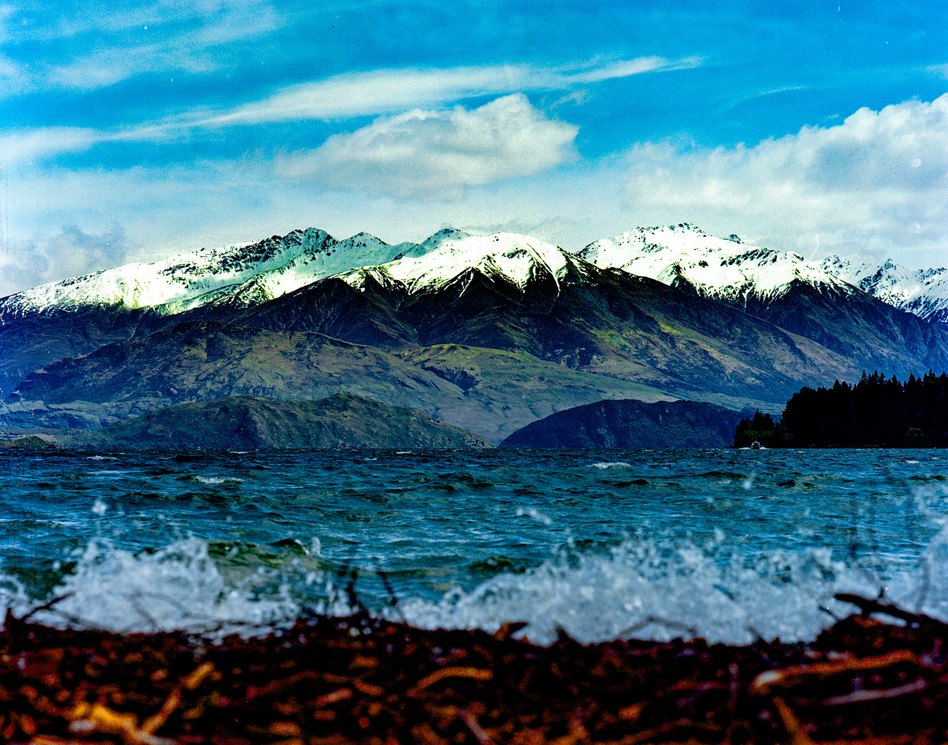 Wanaka shores - Hasselblad 500 C/M - Kodak Gold 200