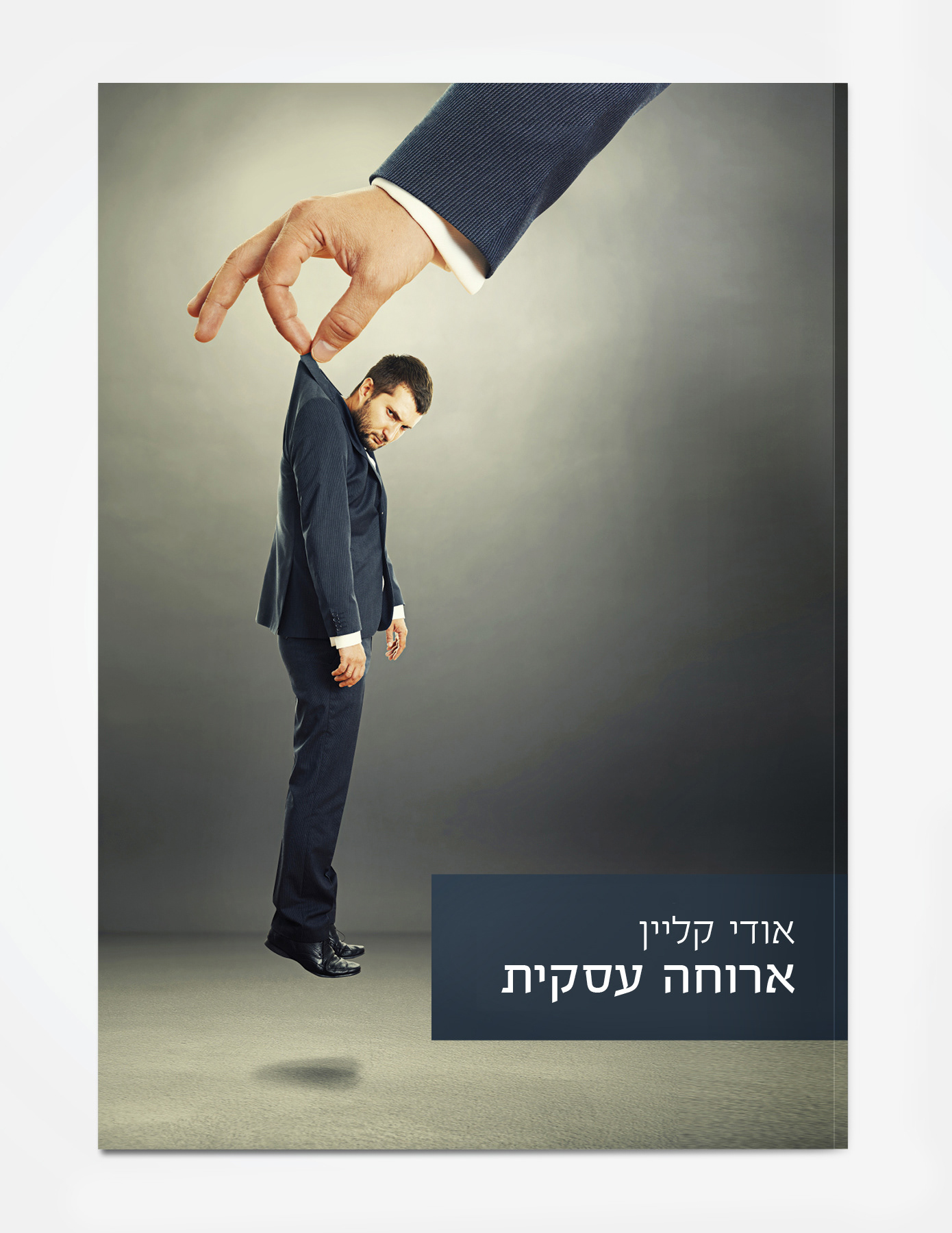 'Business Lynch' - Fictional book cover for TV production