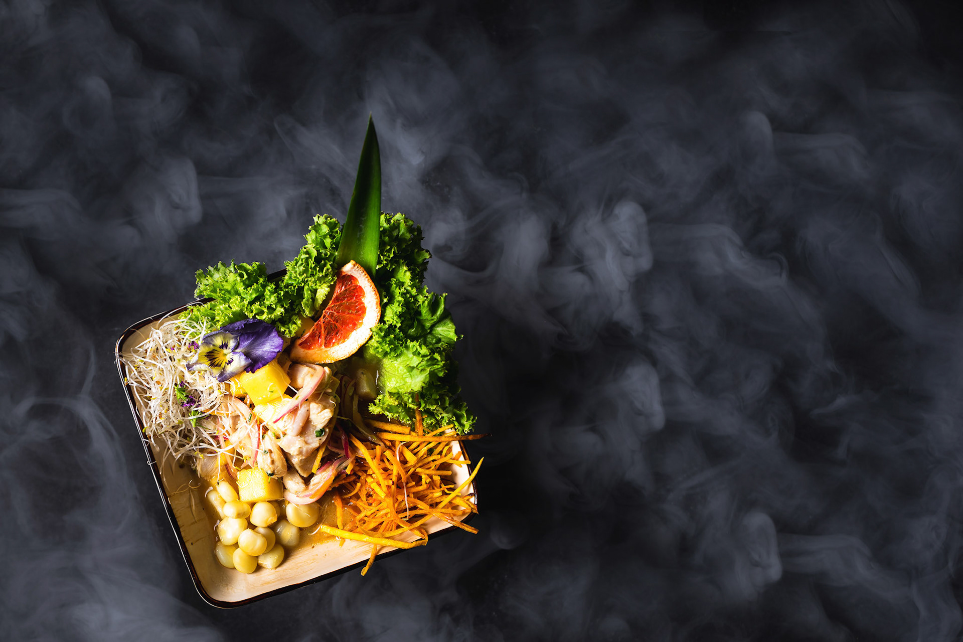 Ceviche tropical de El Templo Sushi con un fondo oscuro con vapor