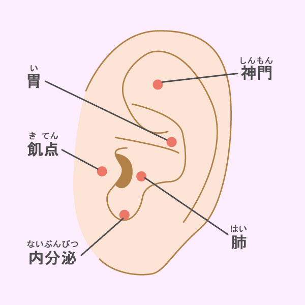 整骨院用素材