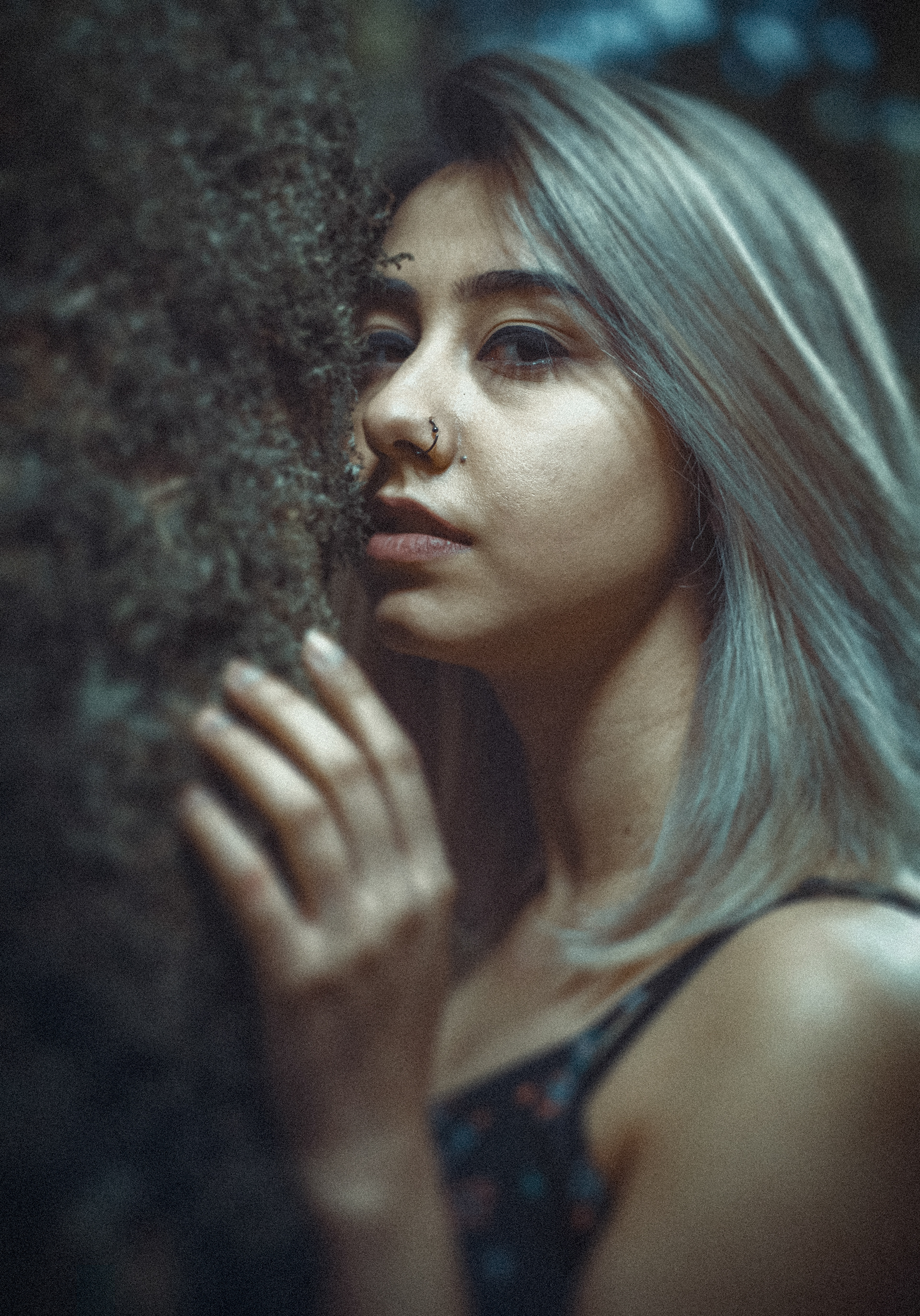 Image by Syed Hassam Jafri