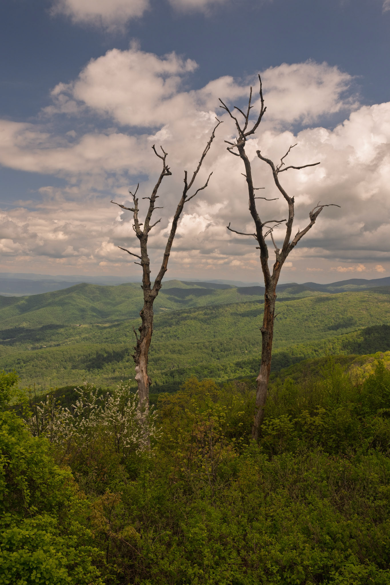 Shenandoah National Park