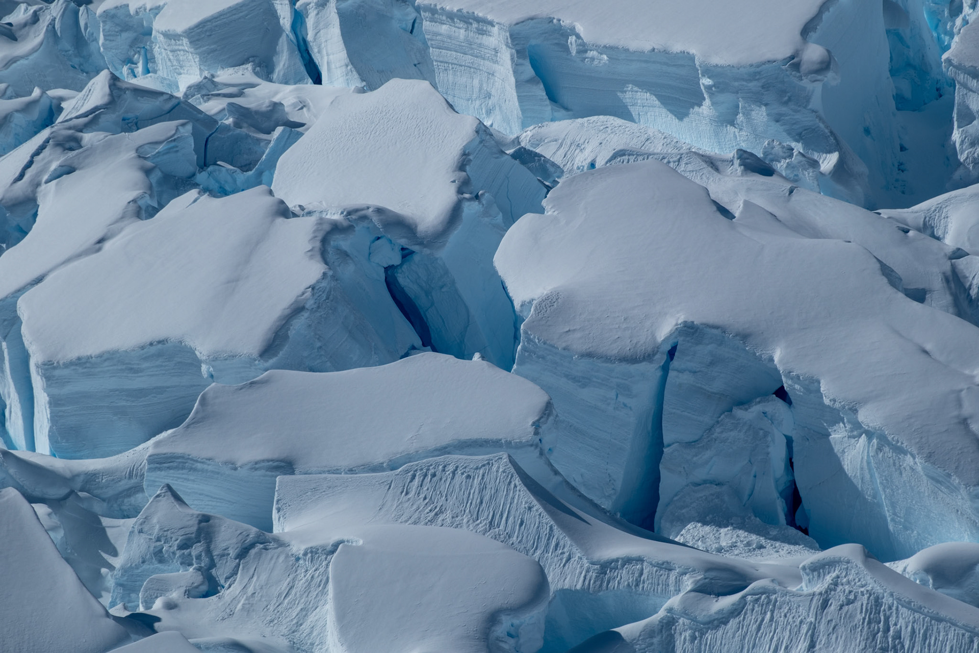Cuverville Island glacier