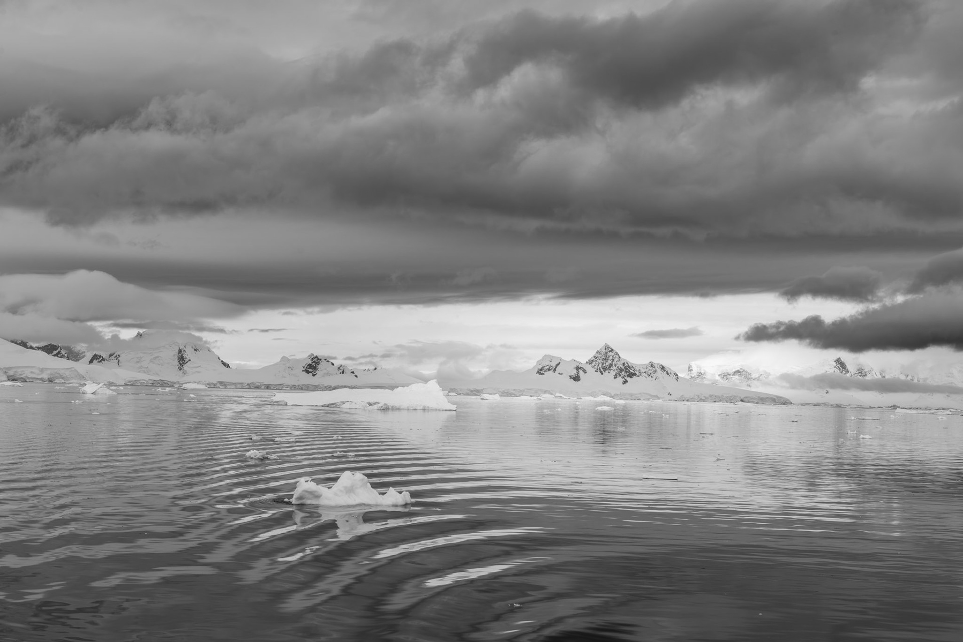 On the way to Wilhelmina Bay