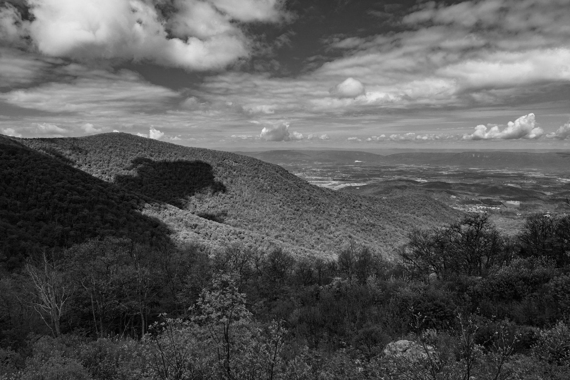 Shenandoah National Park