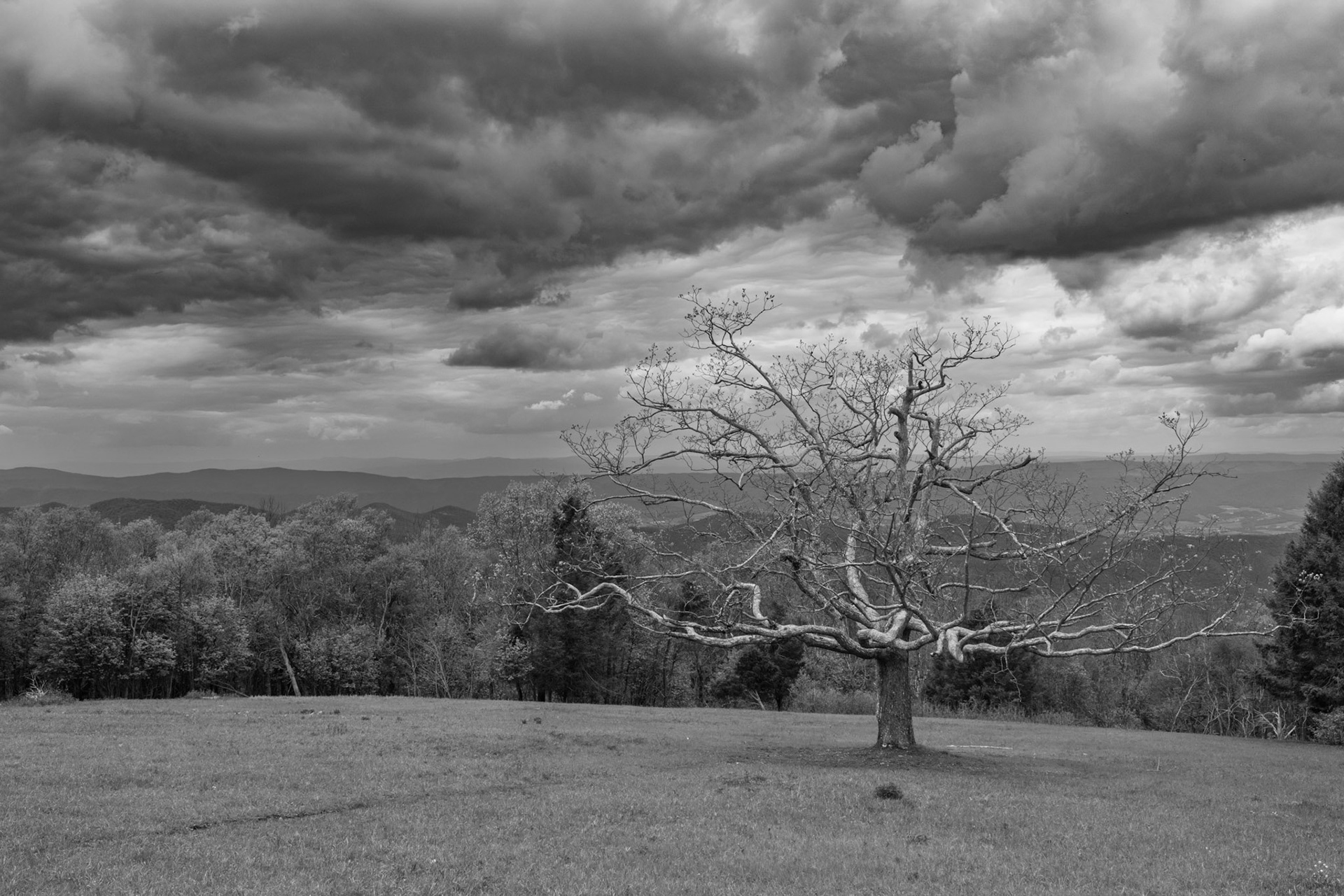 Big Meadows, Shenandoah National Park