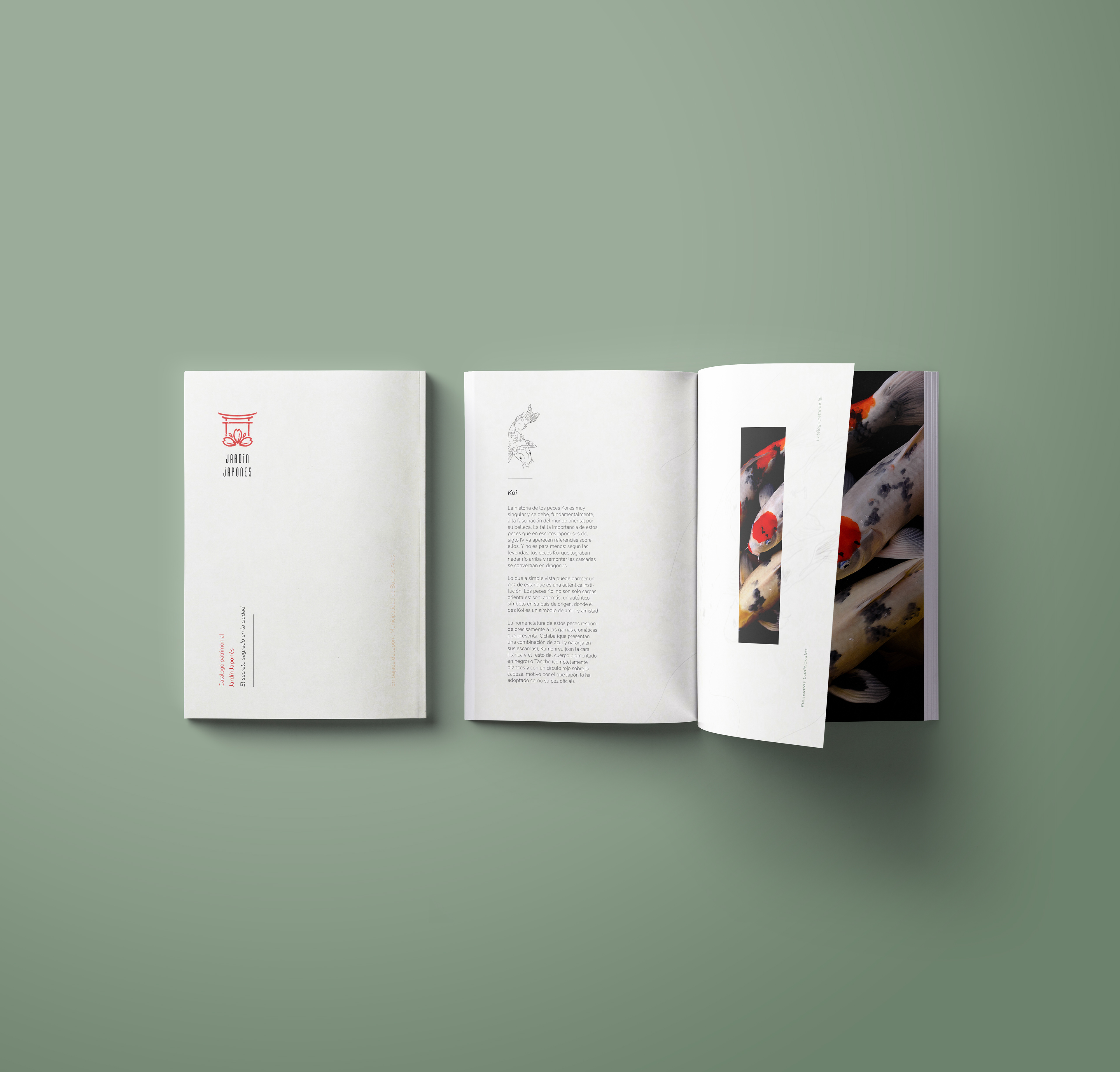 CATALOG