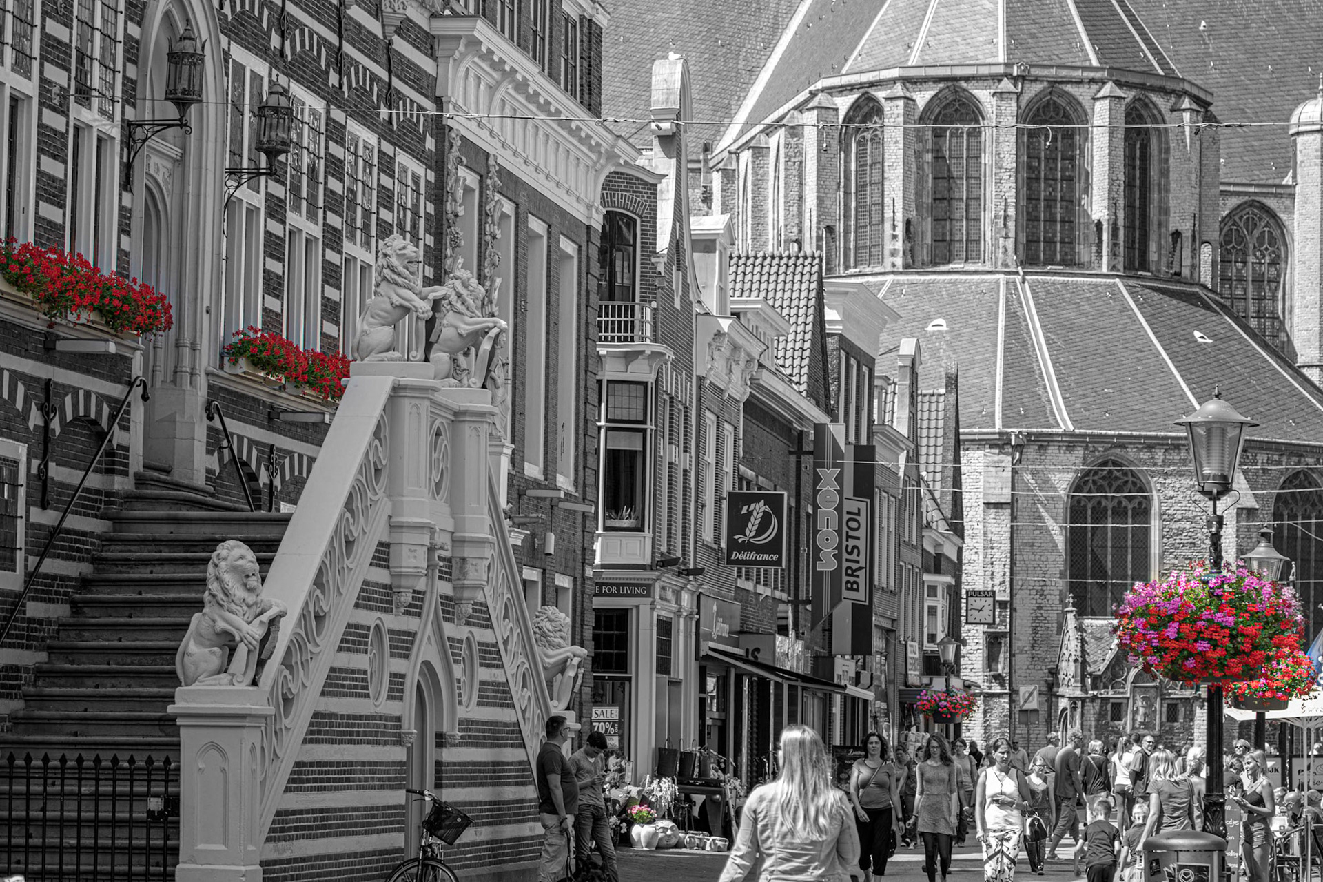 Alkmaar, 2016