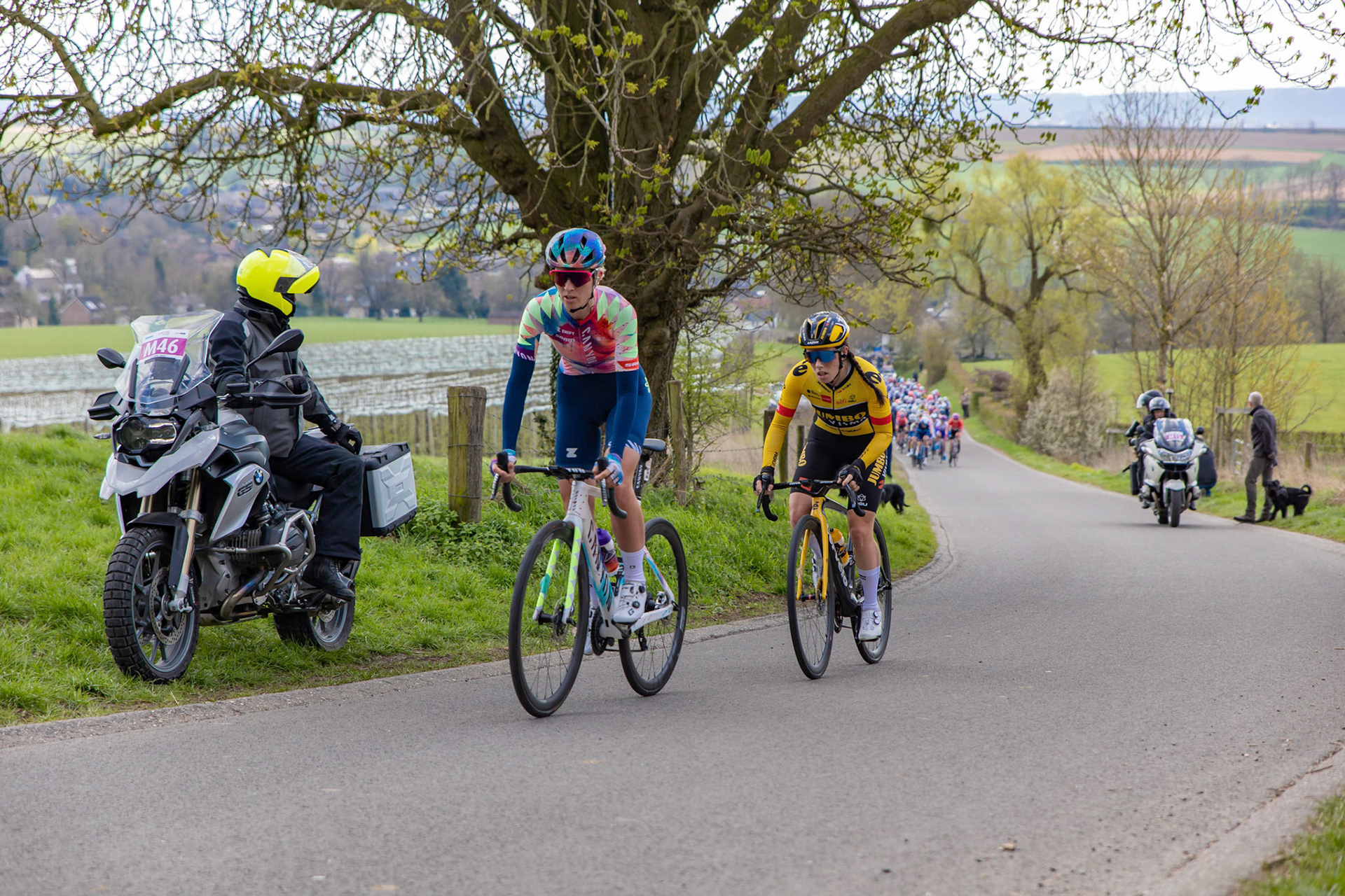 Amstel Gold Race, 2022