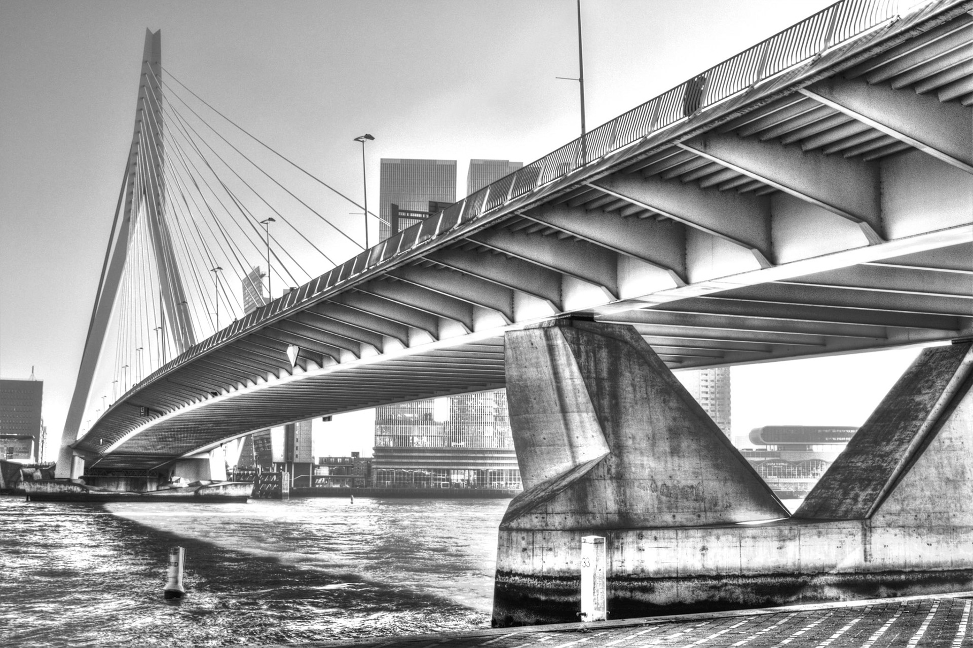 Erasmusbrug, 2016