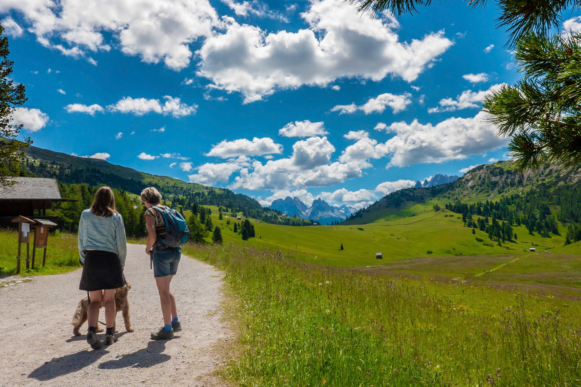 Süd-Tirol, 2020