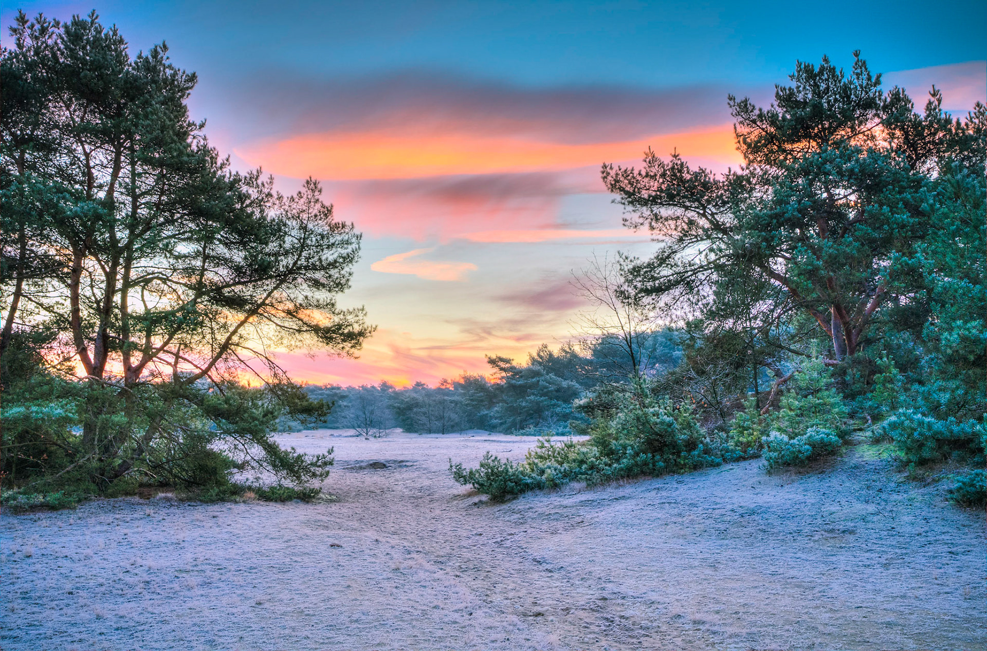 Boshoverheide, 2019