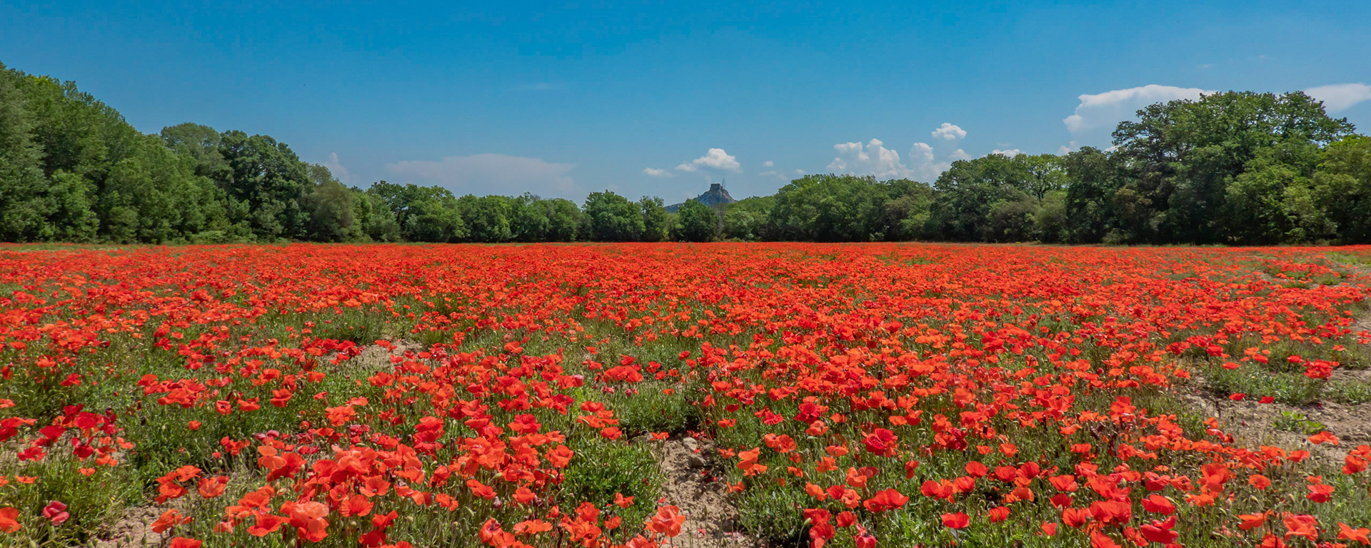 Provence, 2023
