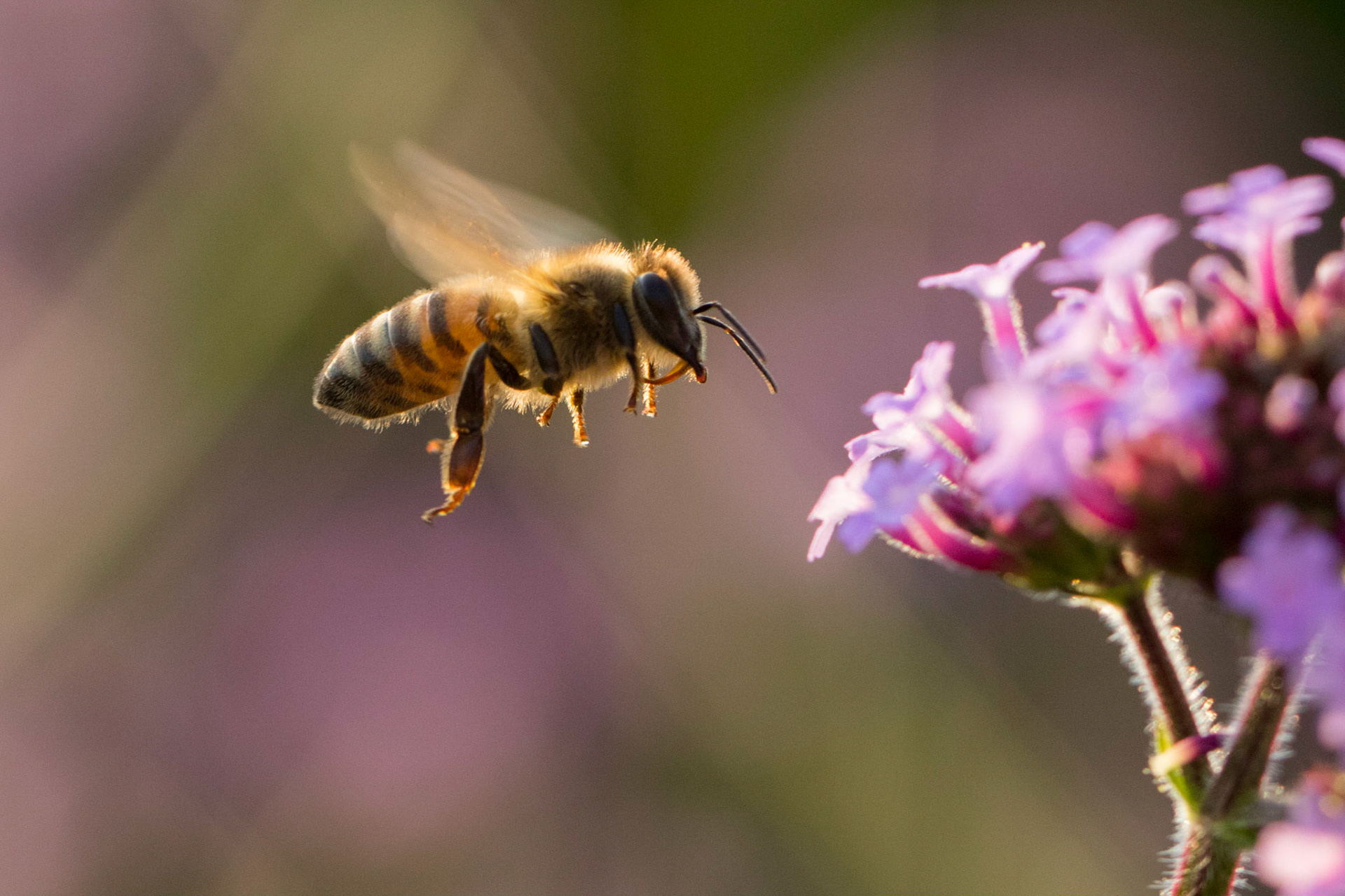 Prepare for Landing