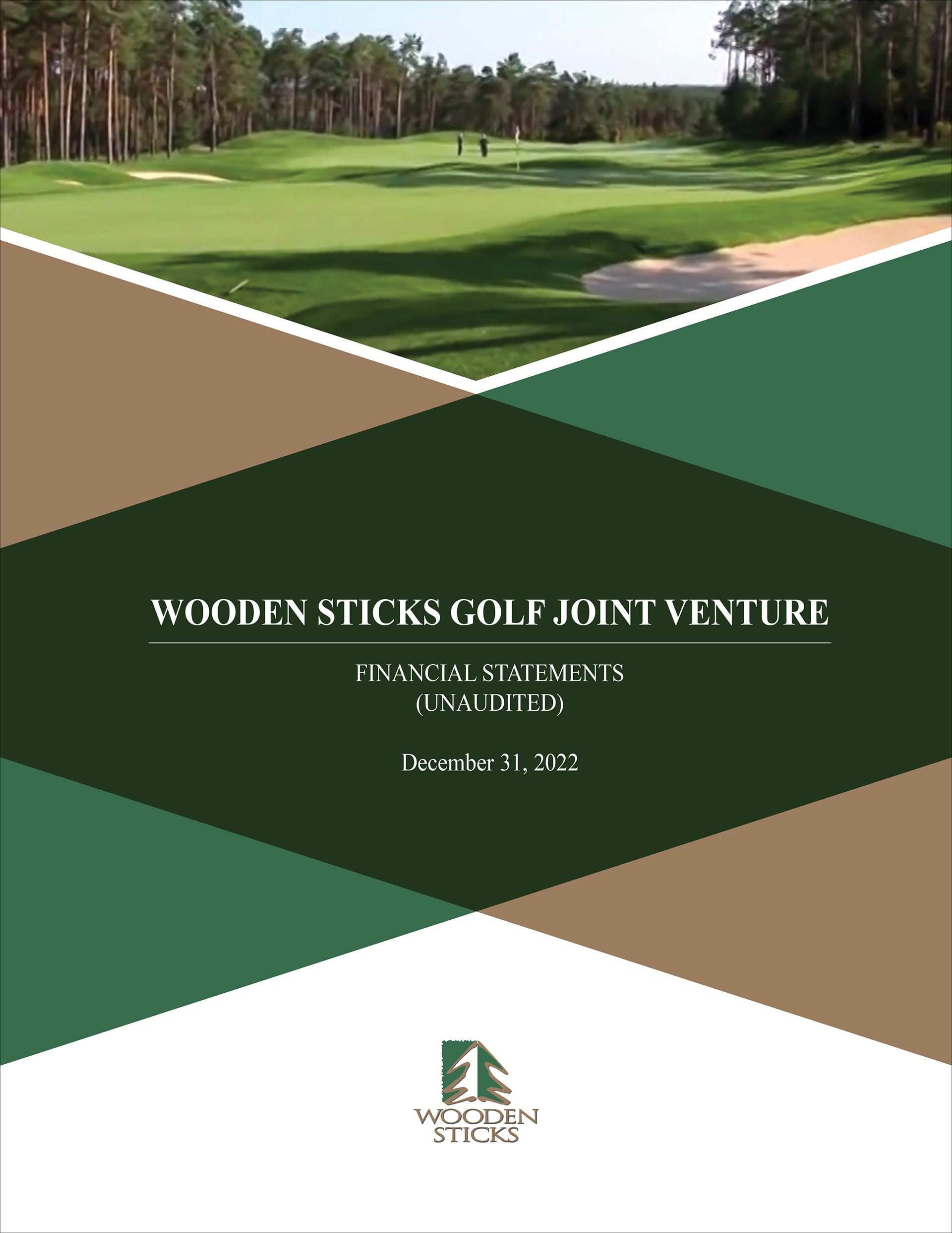 Wooden sticks Annual Financial Statements report cover