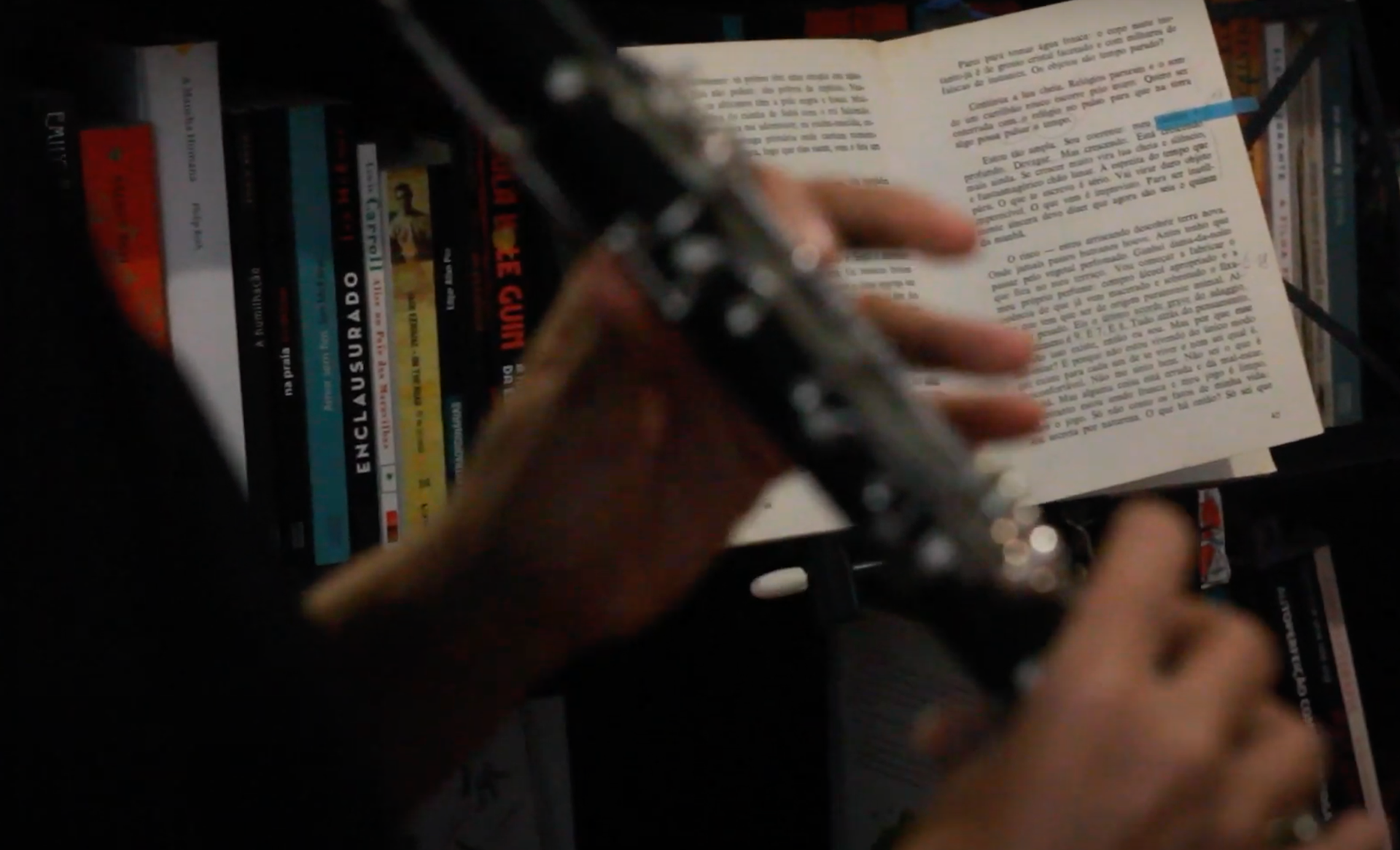 o que vem é imprevisto _ Lise B. e Aline Gonçalves