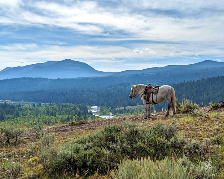 Overlooking Snake River - Wyoming