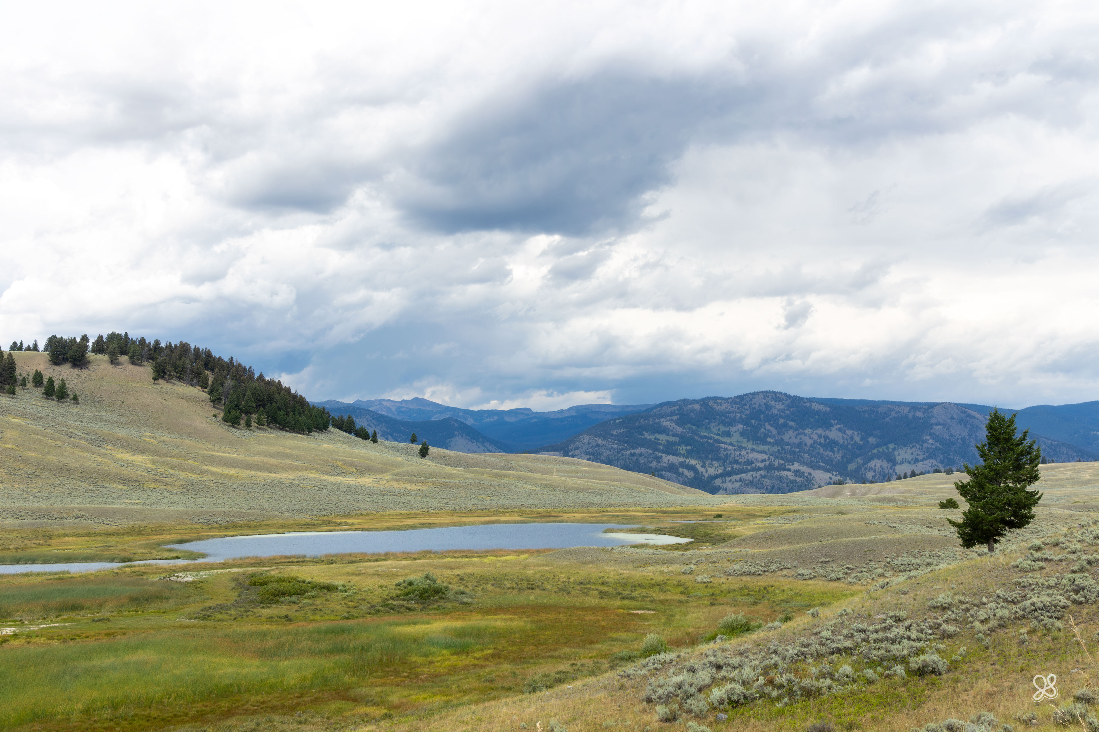 Lamar-Valley - Wyoming