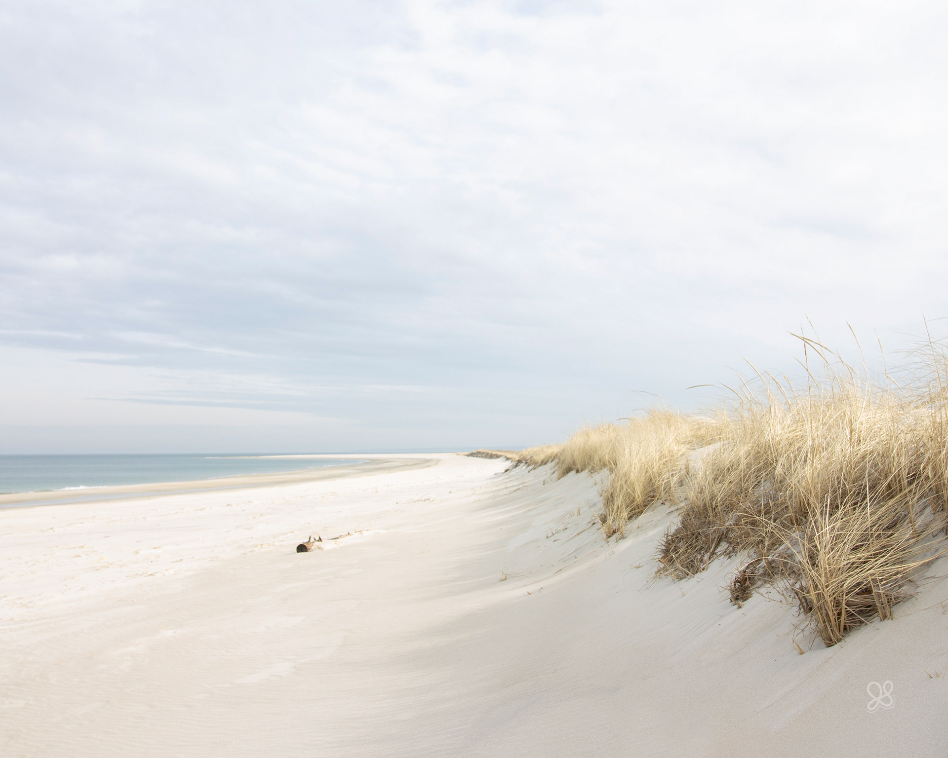 2025 Winner - Honerable mention Landscape, Newburyport Art Association - Crane Beach Massachusetts